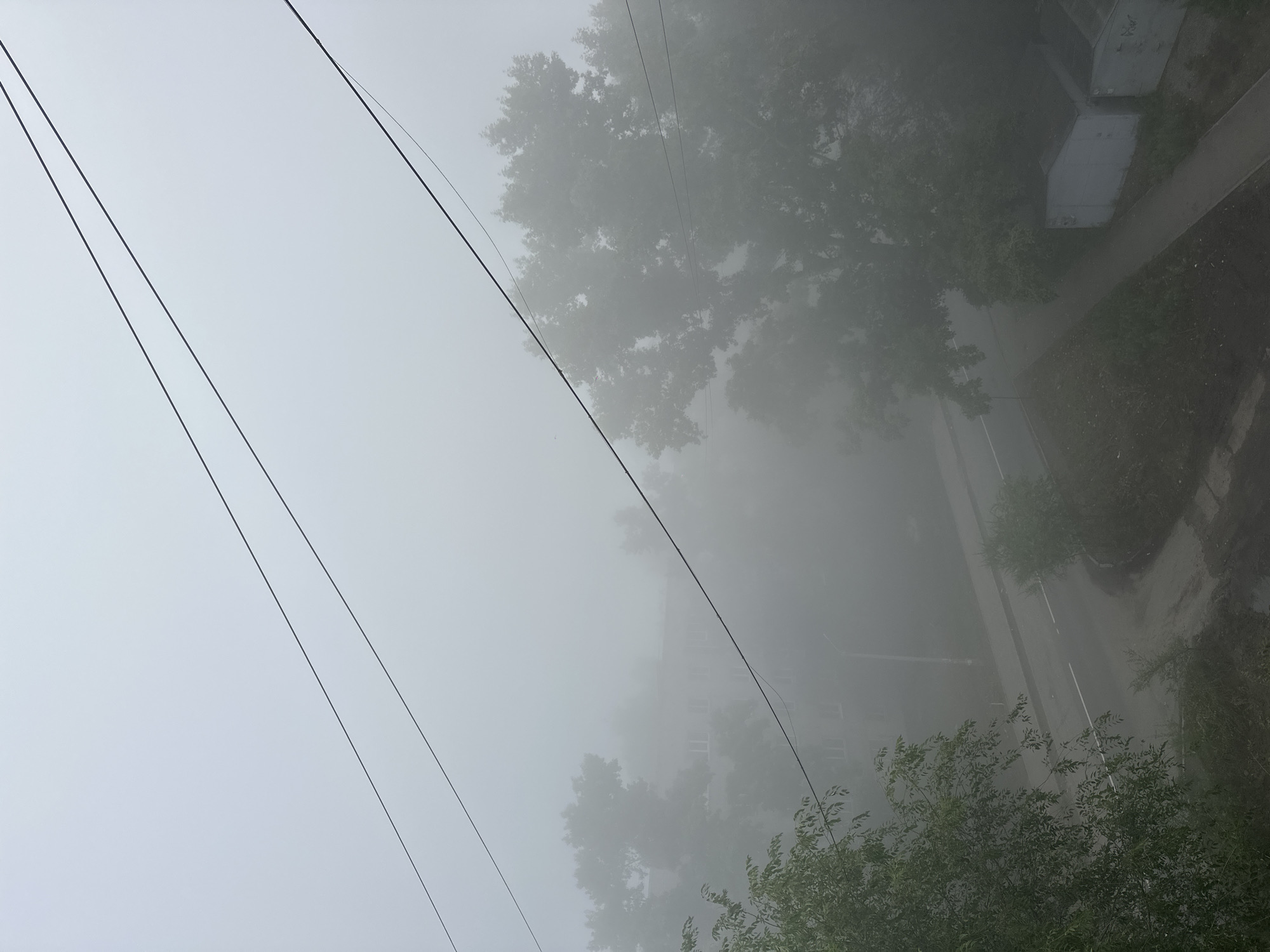 The image depicts a foggy urban environment in Biysk, Russia. In the foreground, power lines stretch across the frame, set against a uniformly gray, overcast sky. Below the power lines, the view looks down onto a street shrouded in thick fog. To the left, the lush green foliage of a tree is visible, its leaves slightly blurred by the atmospheric conditions. Across the street, a multi-story building, likely an apartment complex, is faintly discernible through the mist, its architectural details softened by the fog. Several mature trees with dense canopies are scattered throughout the scene, appearing as dark, indistinct masses within the fog. A paved road with a white line marking the center is visible, curving through the landscape. Further to the right, a narrow concrete pathway leads past two small, utilitarian structures, possibly garages or sheds, one of which is painted a pale blue. The overall impression is one of a quiet, damp, and obscured morning in a residential area of Biysk.