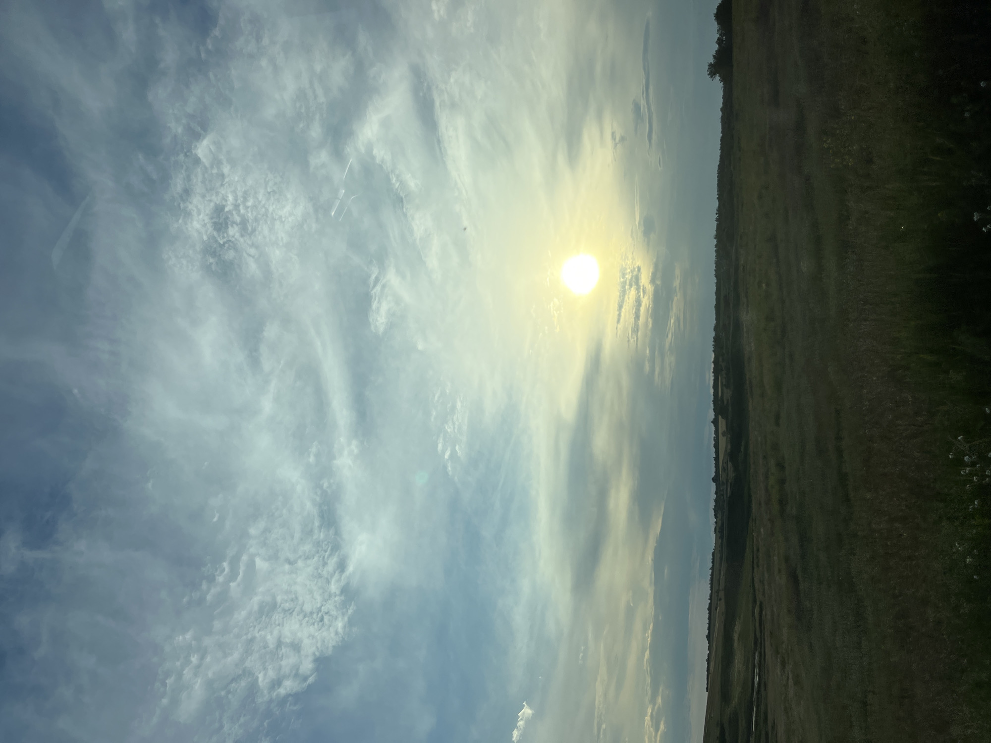 The image depicts a vast, open field with rolling hills in the background, located in Poltavka, Ukraine. The sky is a prominent feature, with a bright sun partially obscured by wispy clouds. The sun's rays cast a gentle glow over the landscape, illuminating the green and brown hues of the field, which appears to be covered in grasses and wildflowers. The horizon line is marked by a dense line of trees and shrubs, suggesting a rural or semi-rural environment. The overall impression is one of natural beauty and tranquility, with the vastness of the sky and the open field creating a sense of spaciousness and calm. There are no people or animals visible in the image, and no man-made structures are evident, contributing to the untouched and natural feel of the scene. The image appears to have been taken during the day, likely in the late afternoon or early evening, given the warm light and the angle of the sun.