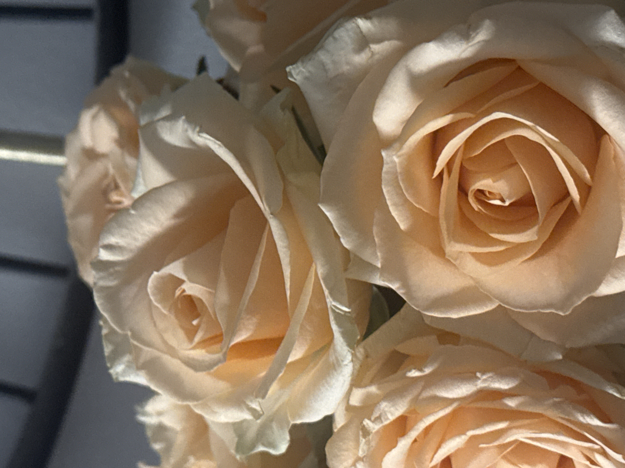 The image shows a close-up of several peach-colored roses in a bouquet. The petals are soft and subtly folded, creating depth and texture. The background is blurry, with a hint of grey, possibly a wall or another surface out of focus. There is no indication in the image of the location being Bat Yam, Israel or any other city. No people or actions are depicted.