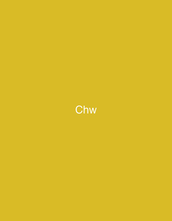The image presents a solid, uniform mustard yellow background. Centered on this background are three white, sans-serif characters: "Chw." The 'C' is capitalized, followed by lowercase 'h' and 'w'. The text is the sole subject, with no other objects, people, or environmental details visible. The background is completely plain, lacking any discernible patterns, textures, or spatial indicators. There is no visual information within the image to determine a specific geographical location, such as Casablanca, Morocco, or any other city or country.