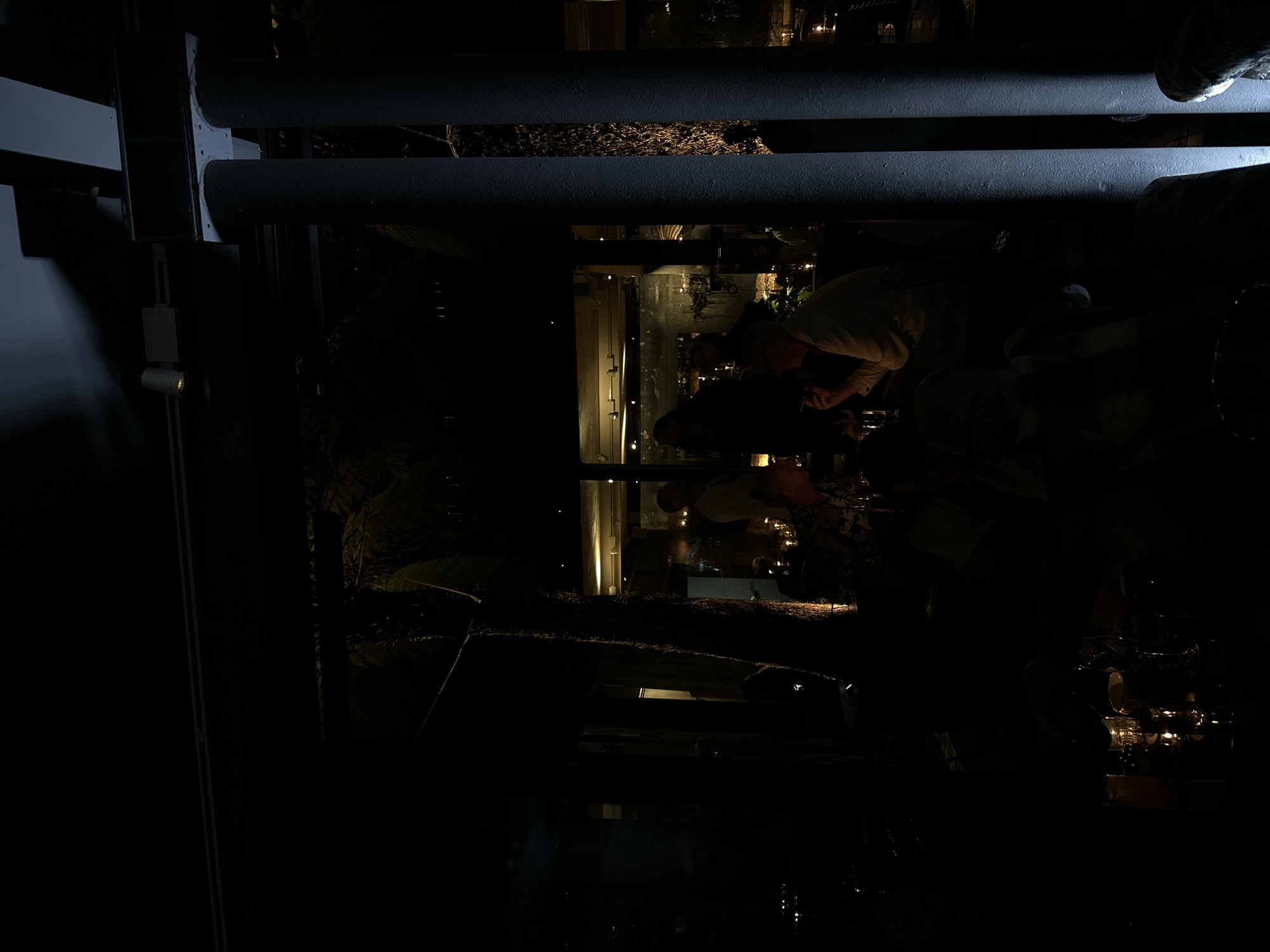 This severely underexposed photograph captures a dimly lit interior scene, likely a bar or restaurant in London, United Kingdom, at night. The image is dominated by deep shadows, with details emerging primarily from artificial light sources and reflections.
Across the upper half of the frame, two prominent dark, horizontal pipes or structural beams span the view. Below these, extensive reflections are visible on what appear to be large glass panels or mirrors, indicating windows or interior partitions. These reflections reveal fragmented glimpses of the establishment's interior, including vertical light strips and bright glints from bottles, glasses, or small decorative lights, consistent with a bar or dining setting. A textured, shimmering surface is also discernible between the pipes, possibly a decorative element.
Several individuals are present, mostly as indistinct, dark silhouettes within the reflections and the darker parts of the room. One person, positioned towards the right, is more discernible due to a lighter-colored shirt, appearing to lean over a surface, possibly engaged in conversation or observing something. On the far left, a small, focused spotlight on a metallic structure points downwards. The overall ambiance is dark, intimate, and sophisticated, suggesting a late-night social gathering. No visible text is present in the image.