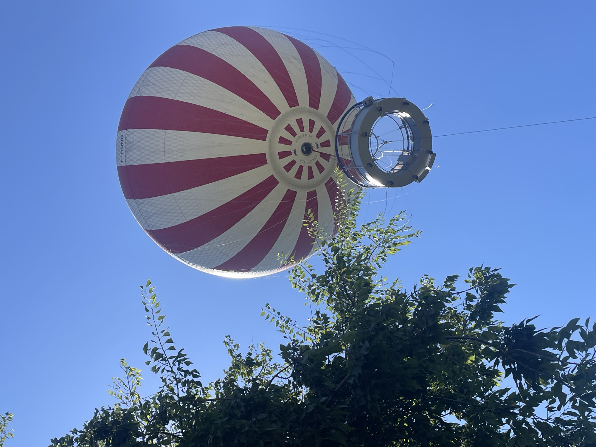 A large, red and white striped hot air balloon is suspended in a clear blue sky. The balloon is partially obscured by the branches and leaves of a dark green tree on the left side of the frame. The basket of the balloon, made of metal, is visible hanging below it. The scene appears to be captured from a low angle, looking upwards. The hot air balloon is located in Budapest, Hungary.