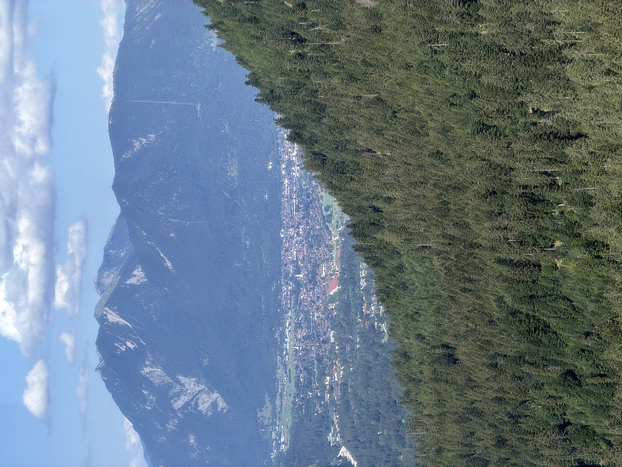 The image depicts a panoramic view of the city of Grainau, Germany, nestled within a valley surrounded by towering mountains and dense evergreen forests. In the foreground, a steep, wooded slope covered in tall pine trees dominates the right side of the frame, leading the eye down towards the valley. The trees are varied in height and density, with some appearing younger and thinner, while others are mature and thick.
In the middle ground, the city of Grainau unfolds as a collection of buildings with red-tiled roofs, appearing as a dense urban landscape. The city is situated in the valley floor, surrounded by fields and patches of greenery. Several church spires and taller structures are visible, breaking the uniformity of the residential and commercial buildings. A road or railway line can be seen traversing the edge of the city.
The background is characterized by dramatic, rugged mountain ranges. The peaks are largely covered in dark green forests, with some lighter, rocky, or snow-dusted sections visible on their upper slopes. The mountains create a formidable backdrop, emphasizing the natural beauty of the location. The sky above is a clear blue, with scattered white, fluffy clouds, suggesting a bright, sunny day. The overall impression is one of a picturesque alpine town embraced by majestic natural scenery.