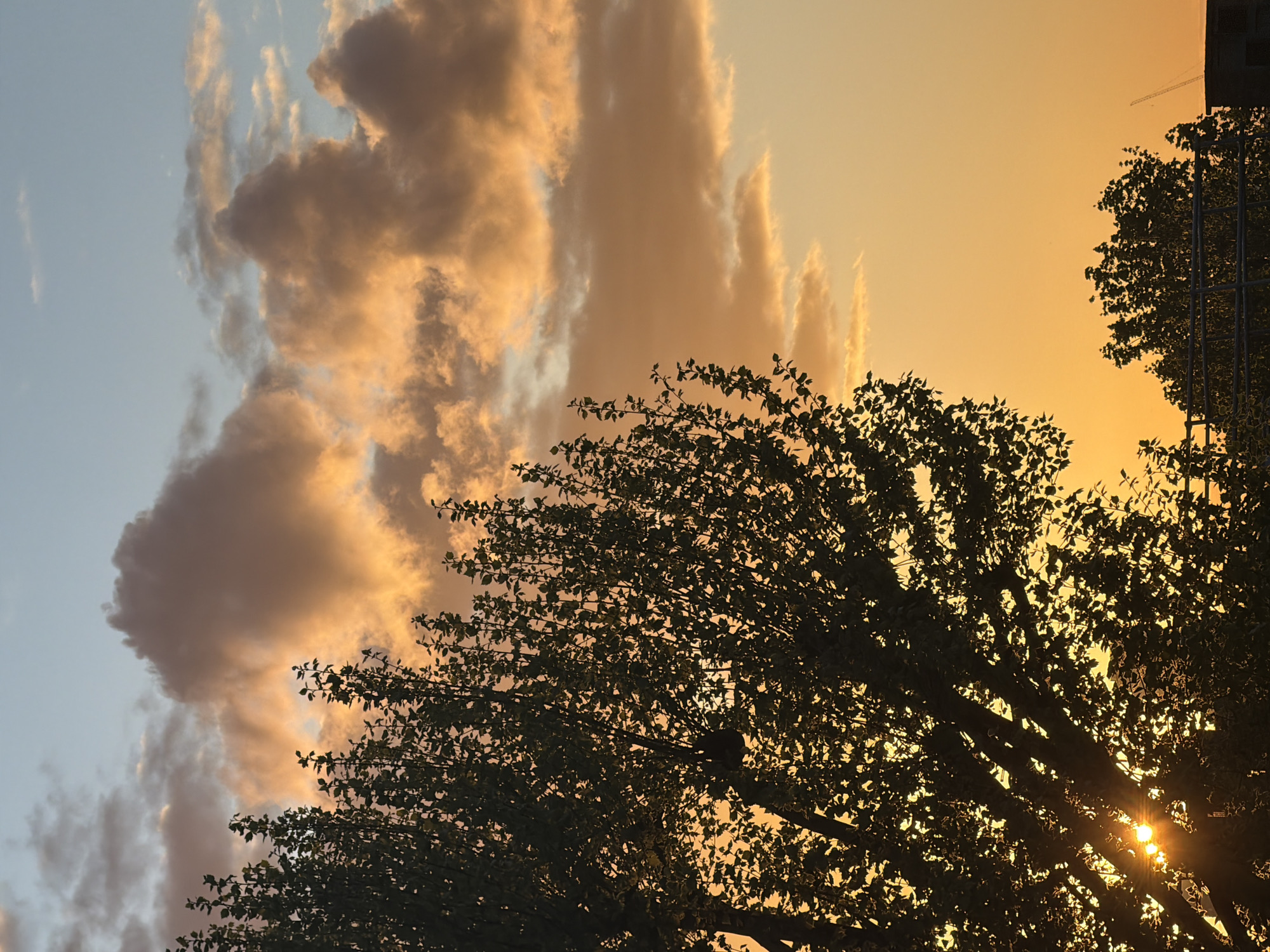 The media file captures a beautiful sunset or sunrise over an urban or suburban landscape in London, United Kingdom. The sky transitions dramatically from a soft light blue on the upper left to a vibrant, warm orange and golden yellow towards the right, indicative of either dawn or dusk. Large, textured clouds are scattered across the sky; some appear dark grey and brownish against the cooler blue, while others are brilliantly illuminated with golden and orange light by the low sun.
In the foreground, a large tree dominates the lower and right parts of the frame, rendered in stark silhouette against the brightly lit sky. Its dense foliage and branches form intricate dark patterns. The sun, partially hidden by the tree's leaves and branches on the lower right, creates a bright, starburst-like glare. On the far right edge, a dark silhouette of what appears to be a building or urban structure is partially visible. A faint outline of a construction crane can also be discerned against the orange sky in the distant background, reinforcing the urban context. The scene evokes a sense of tranquility and natural beauty against an urban backdrop. No text is visible in the image.