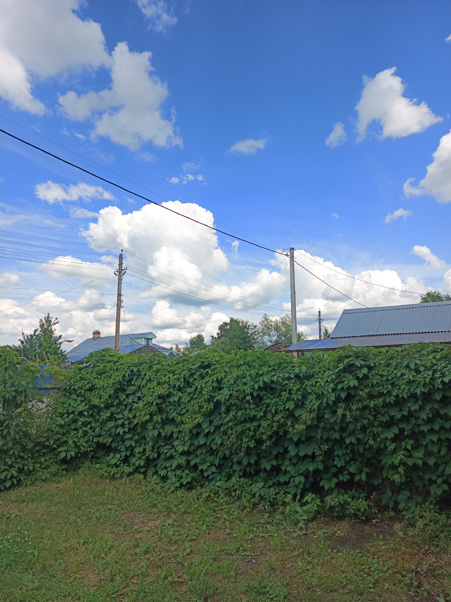 The image depicts a residential area in Novoye, Russia, on a clear day with scattered white clouds in a blue sky. In the foreground, a thick green hedge forms a boundary. Beyond the hedge, a corrugated metal roof of a house is visible, along with the chimney. A tall utility pole with electrical wires stretches across the scene. Further in the background, the roofs of other houses and trees are present. The ground in the foreground is covered with dry grass.