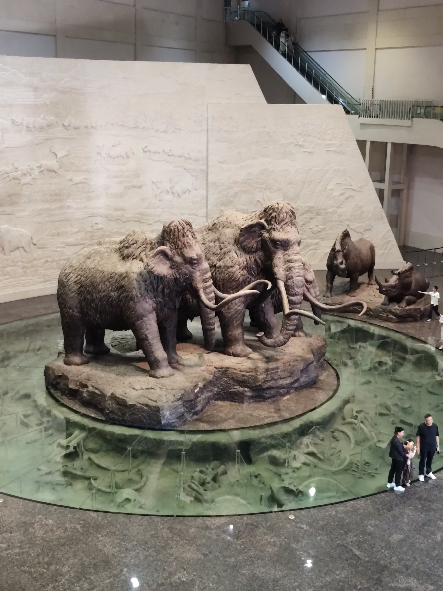 The image depicts an indoor museum exhibit featuring life-sized sculptures of prehistoric animals, specifically mammoths and rhinoceroses, arranged on a rocky platform surrounded by a shallow pool of water. The sculptures are highly detailed, capturing the textures of fur and skin. The pool's bottom features a bas-relief of ancient bones and skeletal structures. In the background, a large wall is adorned with a carved relief depicting a hunting scene with various ancient animals. An escalator with people is visible in the upper right portion of the scene. Several visitors, including a family with two children, are observing the exhibit from the edge of the pool. The overall environment suggests a natural history museum or a similar educational institution in the city of Longfeng District, China.