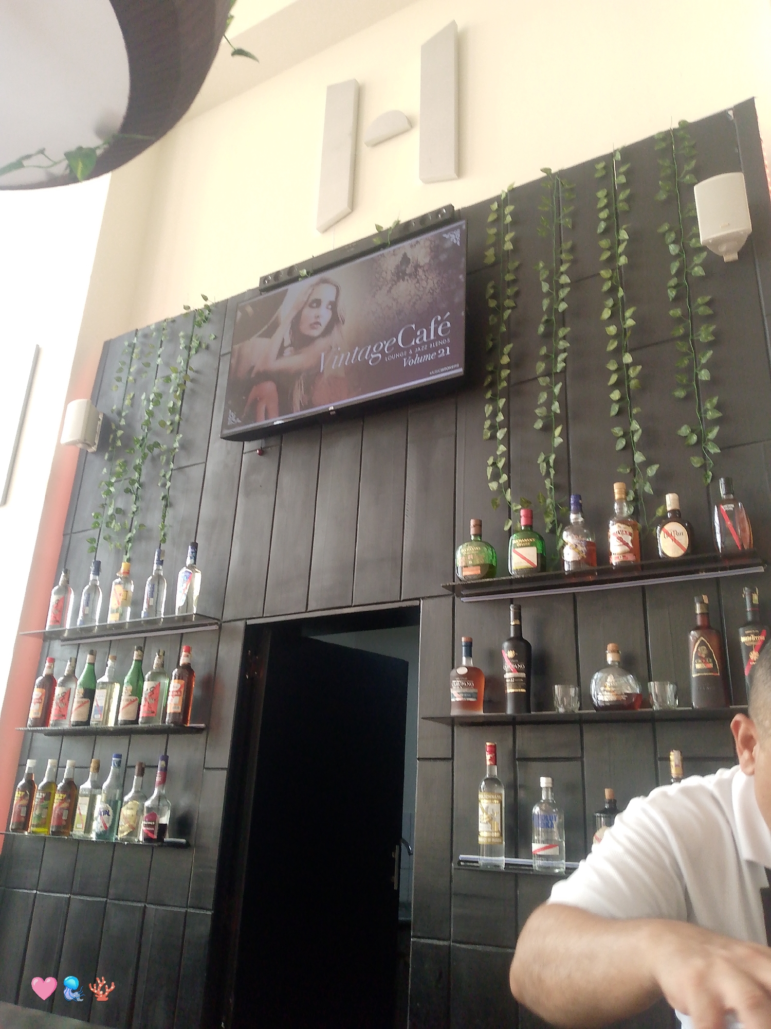 The image shows a bar interior, likely in Pedro González, Venezuela, suggested by the presence of Spanish-labelled alcohol. A black wall with vertical panels acts as a backdrop for two shelves displaying an assortment of liquor bottles. Artificial vines decorate the wall. Above the shelves is a television screen displaying the words "Vintage Cafe Lounge & Jazz Blends Volume 21." There is a doorway leading to a darker space. A man wearing a white shirt is partially visible in the foreground. Above the television, there are two white rectangular wall decor elements. There are also two white wall speakers.