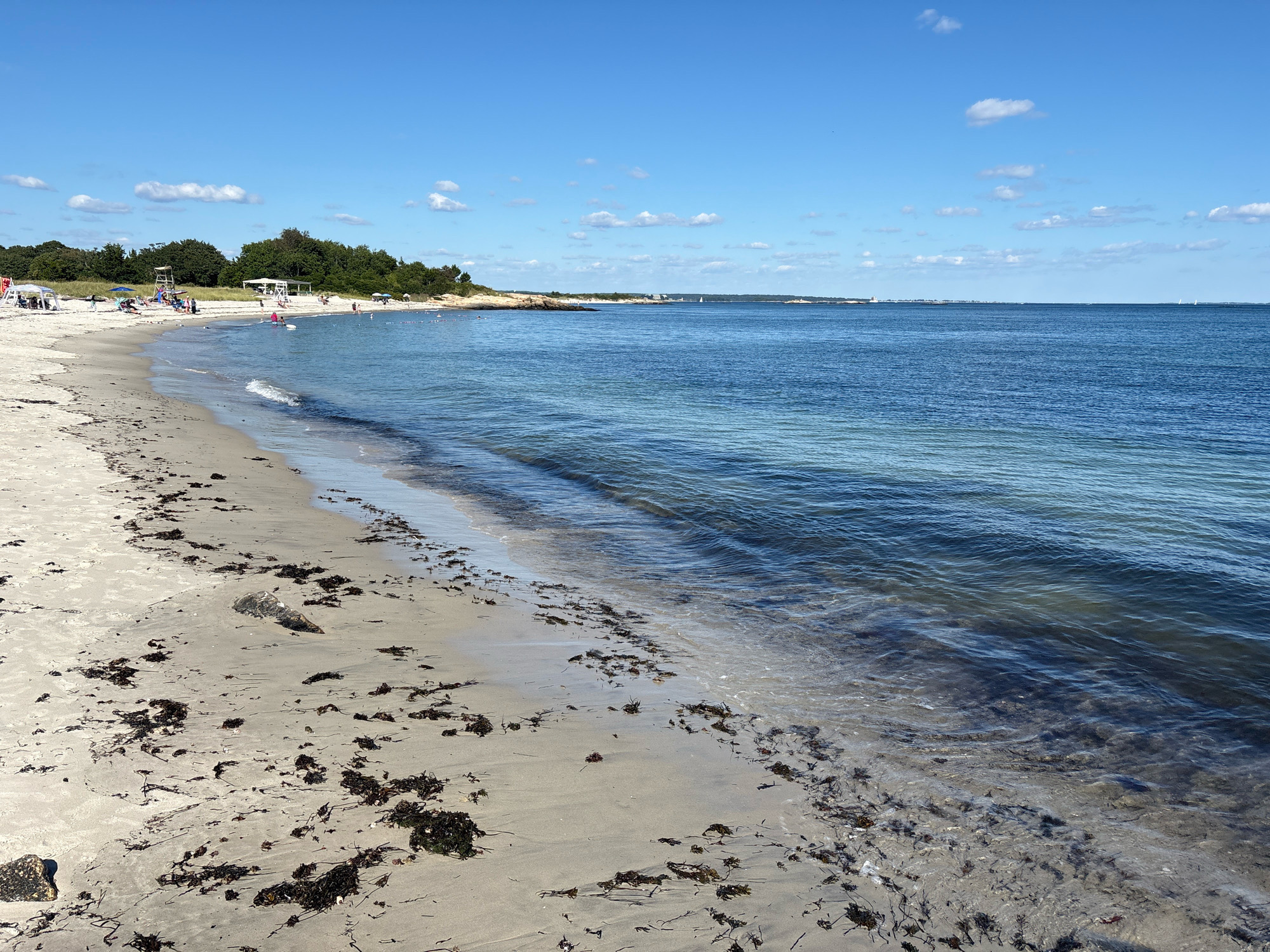 The image shows a view of a sandy beach on a clear day. The foreground is dominated by the sand, which is strewn with dark brown seaweed. A gentle wave laps at the shore, with its clear water revealing the sandy bottom.
In the mid-ground, the beach stretches out to the left, populated by several beach umbrellas and a few people. A lifeguard stand is visible, as are some trees and vegetation bordering the beach. The ocean extends to the horizon, its surface a calm blue. A distant landmass with some structures can be seen on the horizon.
The sky is a bright blue with scattered white clouds. The scene appears to be a typical summer day at a seaside location.
This image depicts Ocean Beach Park in Waterford, Connecticut, USA.