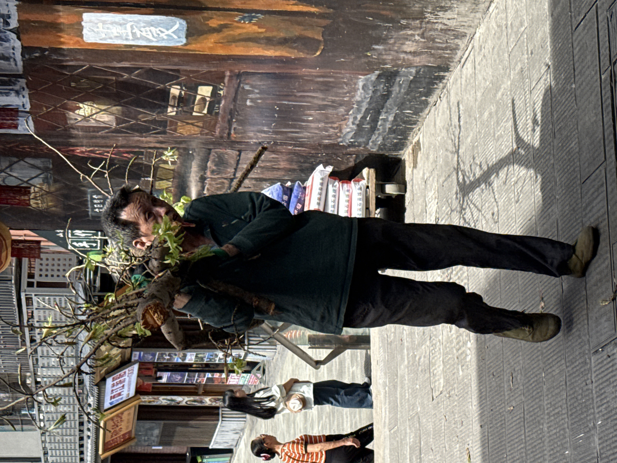 The image shows an elderly man walking on a street in Yuzhong District, China, carrying a large tree branch with budding green leaves on his shoulder. He is dressed in a dark green long-sleeved shirt and dark pants.
Behind him, two women walk in the same direction. One wears a white top and dark pants, while the other wears a striped orange and black shirt with dark pants. The background includes a building with an intricate lattice design and a mural. There are also signs, including those with prices, and other items stacked behind the women, suggesting a shop or street market. The ground is paved with gray tiles.