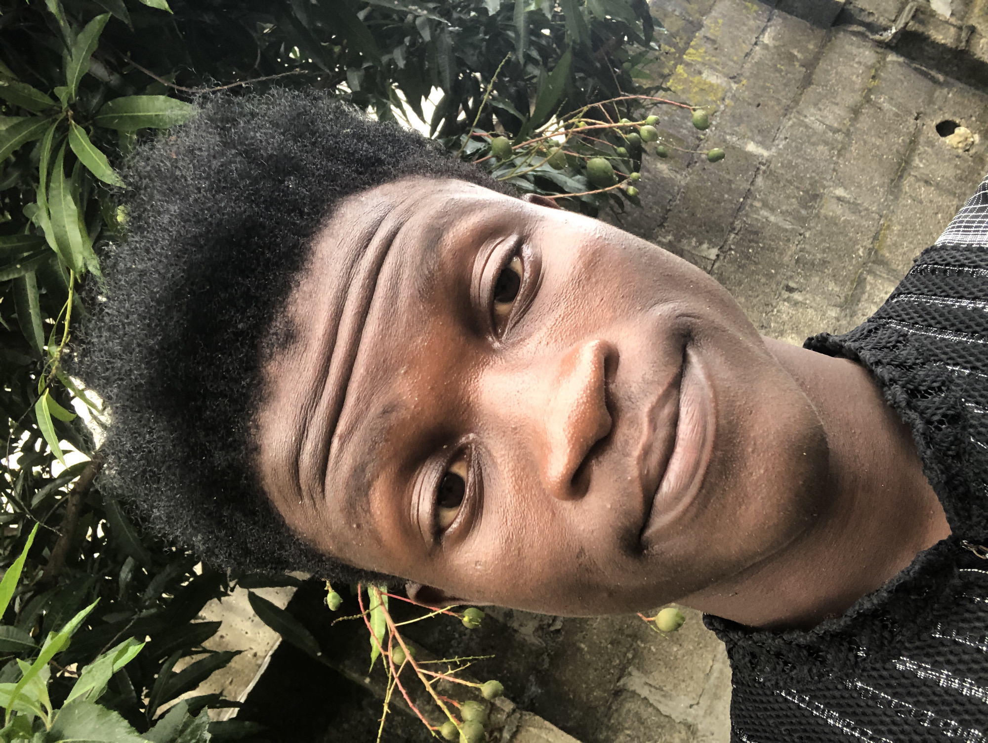 A close-up selfie shows a young Black man with dark skin and a dark, curly afro hairstyle. He is looking directly at the camera with his head tilted slightly. His eyes are open, and his mouth is slightly curved in a subtle smile. He is wearing a black shirt with a textured pattern.
The background is out of focus but appears to be an outdoor setting. To the left, there is a rough, grey concrete wall. Above and behind the man's head, there are lush green leaves of a tree, with some branches bearing small, green fruits hanging down. The lighting suggests it is daytime. The overall impression is of a casual portrait taken outdoors.
Without additional information or context, it is impossible to determine the exact location within Ado, Nigeria. The scene depicts a common urban or semi-urban environment with vegetation and concrete structures.