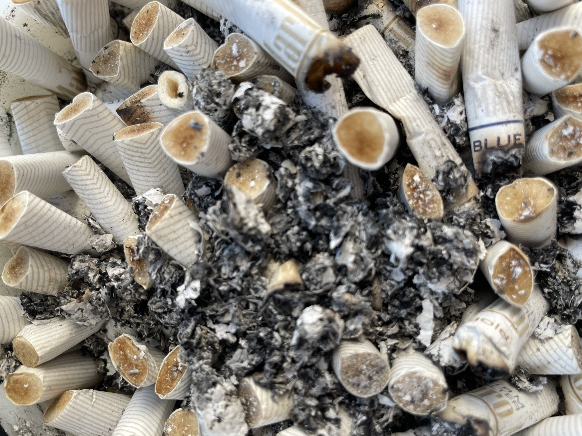 The image depicts a close-up of an ashtray filled with numerous cigarette butts and ash. The butts are densely packed, varying in length and some showing the word "BLUE" and "FILTER". The butts are mostly off-white, with brown-stained filters and some exhibiting burn marks. The ash is predominantly gray, interspersed amongst the butts. The setting is indeterminate. There is no verifiable evidence that this image was taken in Belgrade, Serbia.