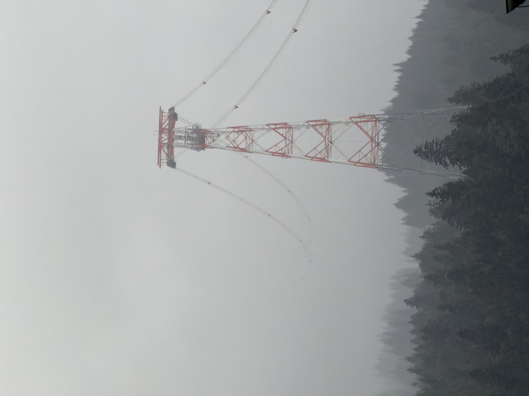 The image shows a tall, red and white lattice tower supporting overhead cables, likely for a cable car or similar transport system. The tower is situated on a hillside covered with dense evergreen trees. The landscape is shrouded in thick fog or mist, which obscures the background and creates a muted, monochromatic color palette dominated by grays and dark greens. The fog also softens the edges of the trees and the tower, giving the scene a somewhat ethereal or dramatic quality. The overall impression is one of a remote, possibly mountainous, environment in overcast weather. The location is identified as Grainau, Germany.