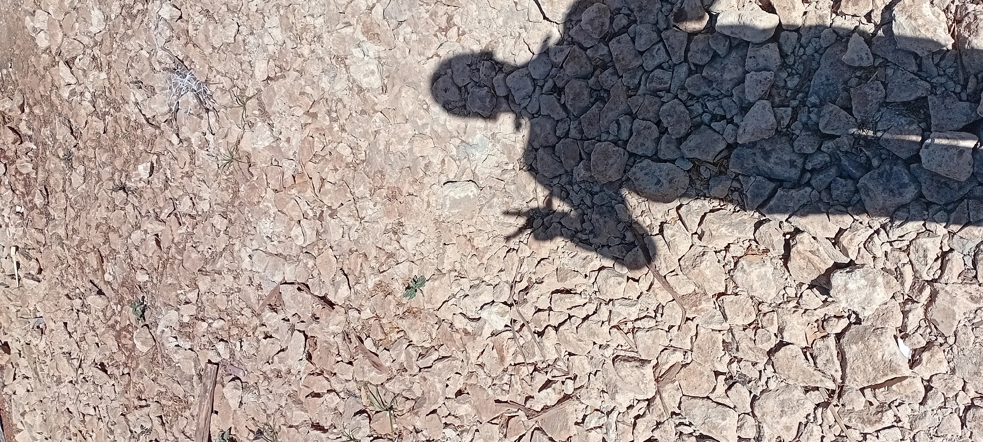 The image displays a shadow of a person making a peace sign with their fingers, cast on a ground covered with small, light-colored stones. The person's shadow is dark and clearly defined, showing a head and shoulders, with one hand raised. The environment is arid, with sparse dry vegetation scattered among the rocks. The scene is a depiction of a shadow on the ground, indicating an outdoor setting. The location specified is Kijabe ward, Kenya.