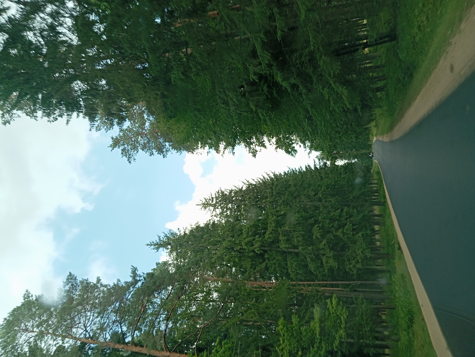 The image shows a paved road winding through a dense forest in Serwy, Poland. Tall evergreen trees line both sides of the road, creating a natural canopy. The sky above is partly cloudy, with patches of blue visible. A single motorcycle is seen in the distance, heading down the road. The road appears to be in good condition, with a light-colored shoulder on the right side. The surrounding environment is lush and green, suggesting a rural or natural setting.