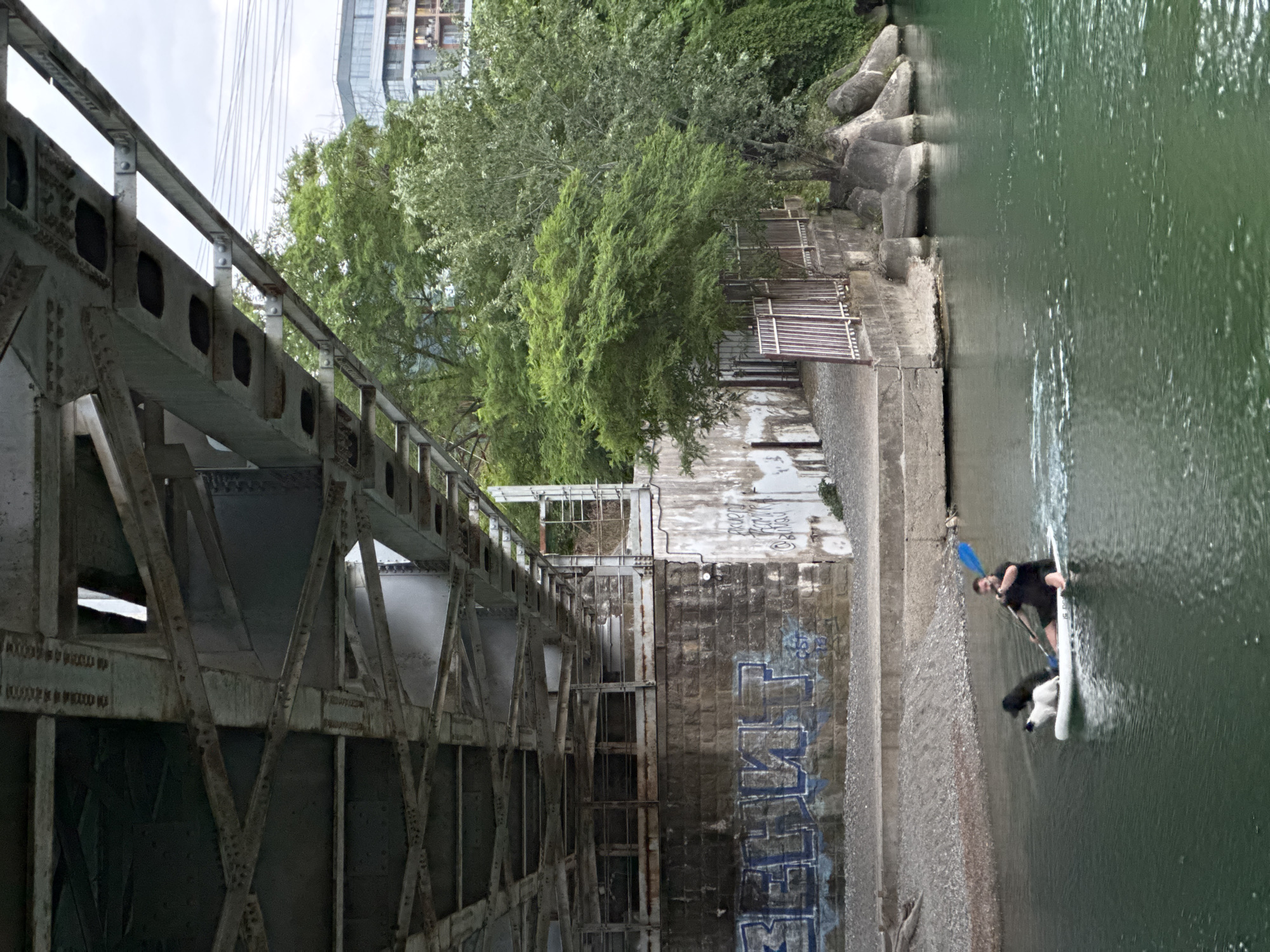 A man and two dogs are paddleboarding on a body of water. The man is sitting on the paddleboard and paddling with a blue paddle. One dog is white and fluffy, and the other is black. They are all facing to the right. The paddleboard is white. The water is green and choppy. In the background, there is a bridge, trees, and buildings. The bridge is made of metal and is very large. The trees are green and lush. The buildings are modern. The scene appears to be in an urban environment. The water is a river. The bridge is overhead. There is graffiti on the wall of the bridge. The location is Sochi, Russia.