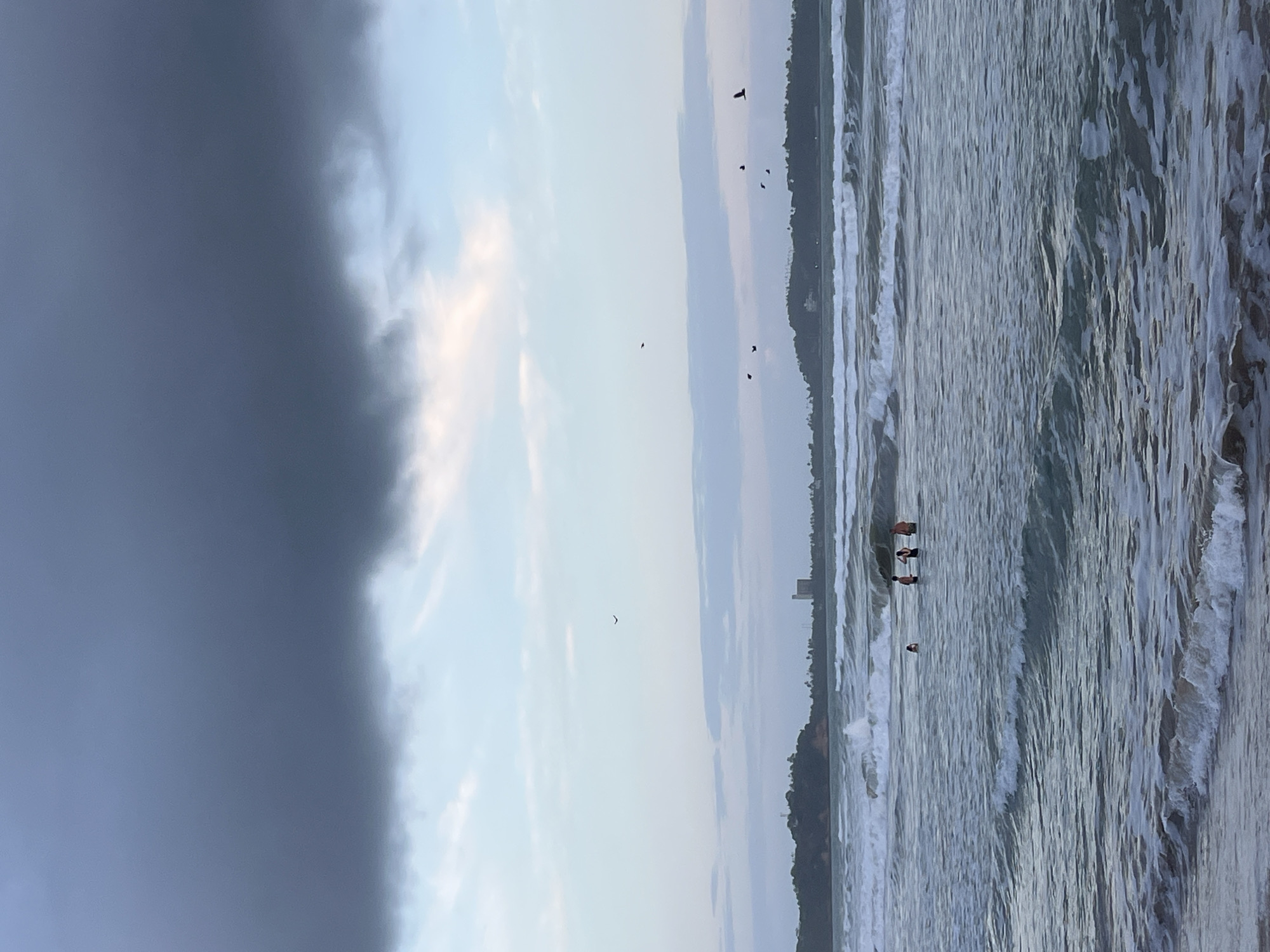 This image depicts a coastal scene at what appears to be dusk or early morning in Peleana, Sri Lanka. The sky is dominated by a large, dark cloud formation, contrasting with lighter, wispy clouds and a pale blue horizon. Several birds are visible flying in the sky. The foreground shows the ocean with moderate waves breaking on the shore, creating white foam. In the water, there are at least three individuals, appearing to be swimming or wading. In the background, a lush green coastline is visible, with a few structures, including a tall building, suggesting a populated area. The overall impression is a serene yet slightly overcast natural environment.