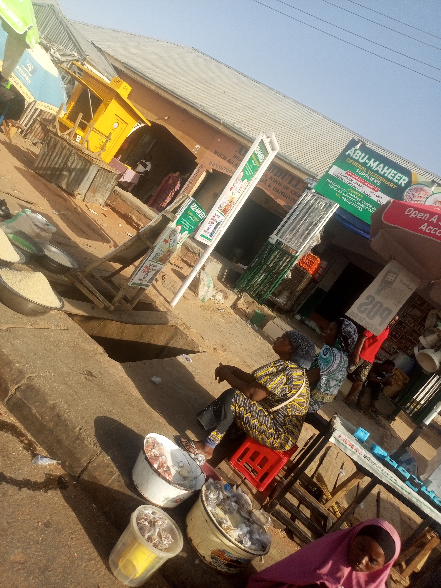 The image depicts a bustling scene at Tumfure Market in Gombe State, Nigeria. Women are observed sitting on plastic chairs and a table with buckets of what appears to be meat products. Various businesses are visible, including "ABU-MAHEER GENERAL VETERINARY SUPPLIERS", advertising chickens, eggs, and drugs. Another sign promotes "ABDULLAH" selling "all kinds of cement". A yellow kiosk-like structure with "MoMo" branding is in the background. Rice is displayed in metal bowls. The scene captures daily life in the local market.