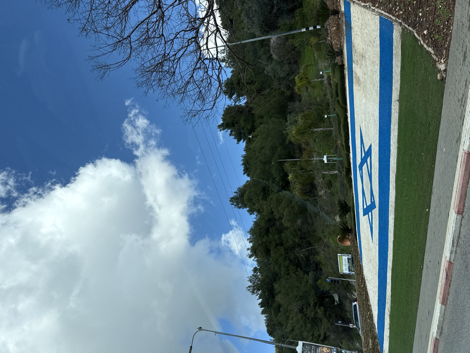 The image depicts an outdoor daytime scene in Safed, Israel, presenting a panoramic view that includes a prominent ground-level representation of the Israeli flag.
In the foreground, a paved sidewalk with a red and white curb borders a strip of green turf. Beyond this, a large, rectangular display of the Israeli flag is laid out on a gently sloping area, utilizing white and blue colored materials (likely gravel or crushed stone) to form the two blue horizontal stripes and the central blue Star of David against a white background. This flag display is bordered by green artificial grass or low-cut natural grass.
Behind the flag display, a landscaped hillside rises, featuring several small palm trees, various shrubs, and at least one large, inverted terracotta pot. Further up the incline, the hillside is densely covered with numerous evergreen trees, forming a natural forest. Visible infrastructure includes multiple utility poles with overhead power lines traversing the midground, and several streetlights. On the far left, a section of a road is visible, with a white vehicle partially seen and a traffic light signal pole. A commercial sign with Hebrew text is also visible on the left. On the right side of the image, a large, deciduous tree with bare branches extends into the frame.
The sky above is bright blue, punctuated by large, fluffy white cumulus clouds, indicating fair weather conditions. No individuals are visible within the frame.