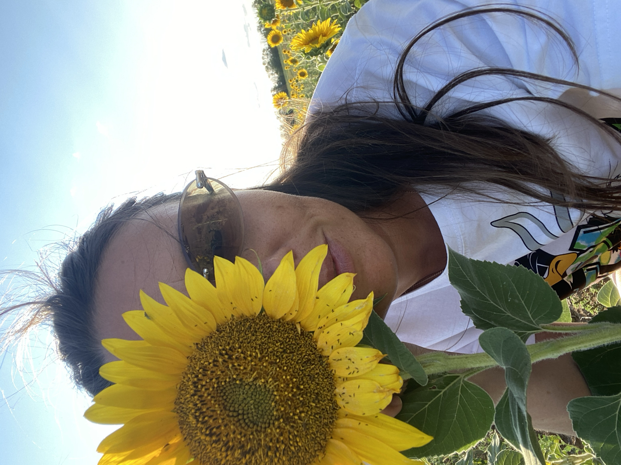 A woman with long, dark hair and sunglasses is holding a sunflower in front of her face in a field of sunflowers. She is wearing a white t-shirt with a graphic print. The sun is shining brightly, creating a warm, golden light. The background is a blurred expanse of sunflowers under a clear blue sky. The image appears to have been taken in the city of Morozovsk, Russia.