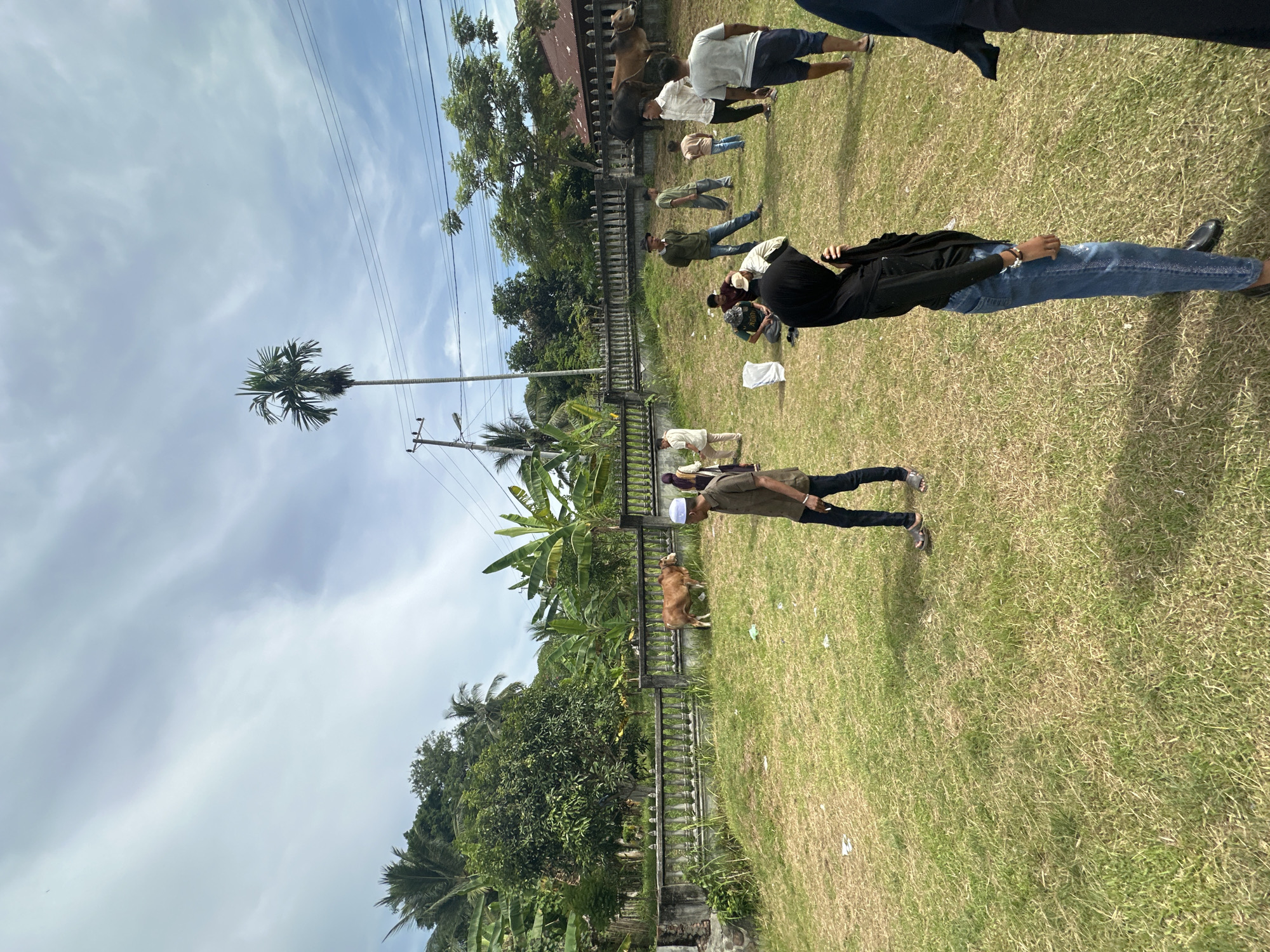 The image depicts a grassy field scene in Lhokseumawe, Indonesia, during daylight. A group of people are spread out across the field. Some individuals are standing while others are prone on the ground. A woman wearing a hijab and jeans is lying on the grass. A cow stands near a fence in the background, close to banana trees and other foliage. A utility pole and wires are visible in the background against a cloudy sky. A fence separates the field from dense vegetation.