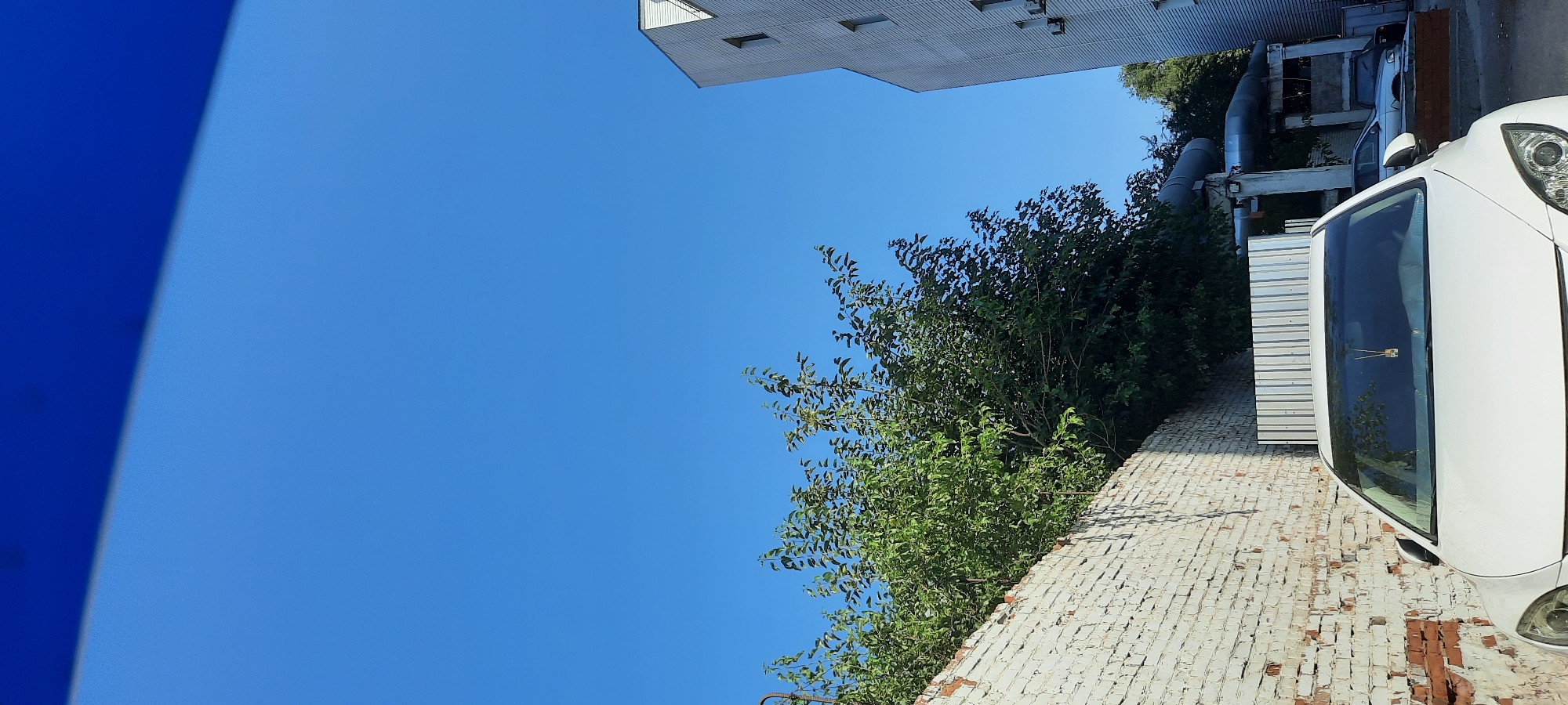 The image depicts a white car parked in front of a white brick wall. A lush green tree is growing over the wall. To the right, a modern building with white siding and numerous windows is visible. In the background, large industrial pipes run above ground. The sky is a clear, bright blue. The scene appears to be an urban environment. The photo does not provide specific details to determine its exact location within Astrakhan, Russia.