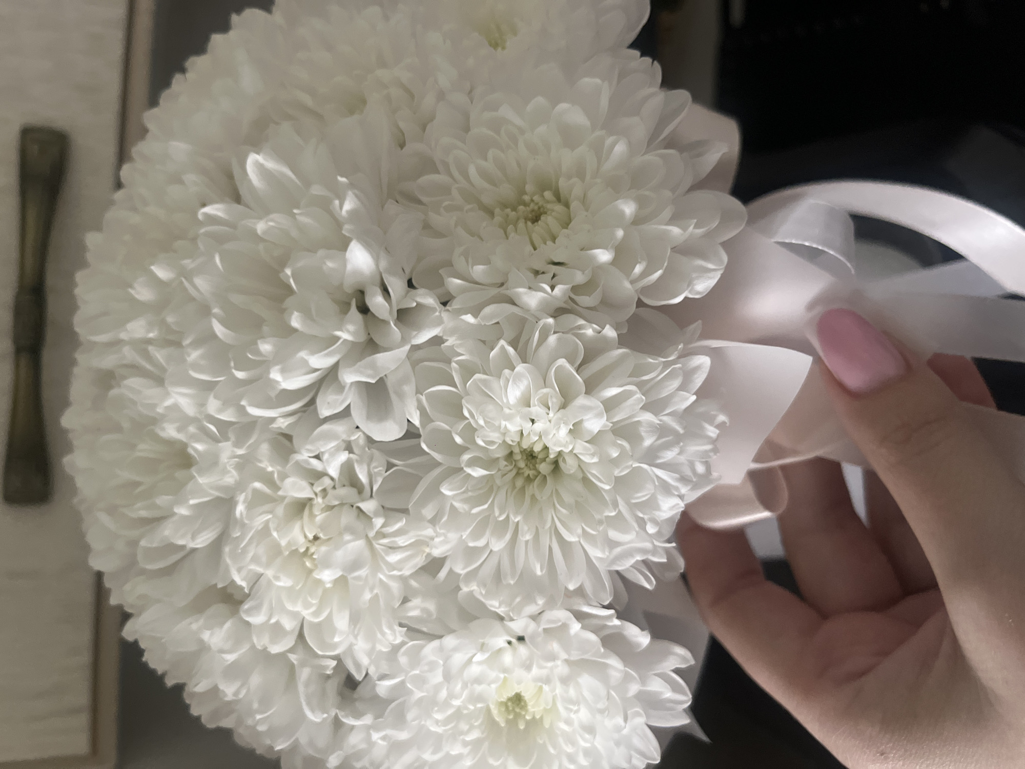 A close-up, vertical shot shows a bouquet of white chrysanthemums, held by a person's hand with light pink nail polish. The flowers are densely packed, with many delicate petals radiating outwards from a central green core. A pale pink ribbon is tied around the base of the bouquet, with a bow visible. The background is out of focus and appears to be indoors, with dark surfaces and hints of light-colored walls or furniture. The lighting is soft, highlighting the texture of the flowers. The location of this image is not specified as Tyumen, Russia.