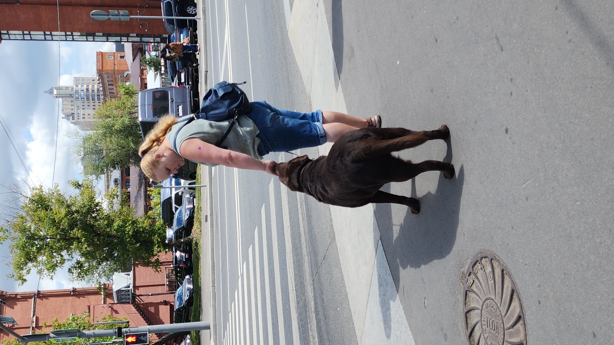 A woman with blonde hair in a ponytail, wearing a green sleeveless shirt and denim shorts, stands on a sidewalk next to a crosswalk in Moscow, Russia. She is holding the leash of a large, dark brown dog, likely a Labrador Retriever, which is facing away from the camera and looking up at her. The woman has a purple flower sticker on her left upper arm and is carrying a dark blue backpack. In the background, there are several cars, a dark gray van, buildings, trees, and a cloudy sky. A traffic light with a red signal is visible to the left of the frame. A manhole cover is on the sidewalk in the lower left corner of the image. The scene appears to be a typical urban streetscape on a daytime.