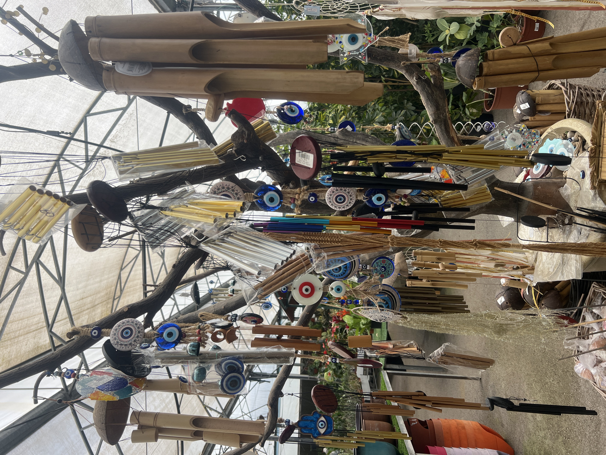 The image depicts a display of wind chimes and decorative items hanging from tree branches, likely inside a greenhouse structure. The setting appears to be a retail or market environment.
**Objects and Subjects:**
* Various types of wind chimes made from materials like bamboo, metal, and coconut shells.
* Decorative glass or ceramic ornaments, many featuring the "evil eye" motif.
* Tree branches, used as a display rack.
* The greenhouse structure's framework with a translucent covering.
**Environment:**
* The location is possibly a market or store in Zvulun Regional Council, Israel.
* The presence of the greenhouse structure suggests an agricultural or horticultural context, possibly a plant nursery or garden center.
* The lighting is diffused, due to the greenhouse covering.
* The background includes foliage, suggesting an outdoor or garden setting.
