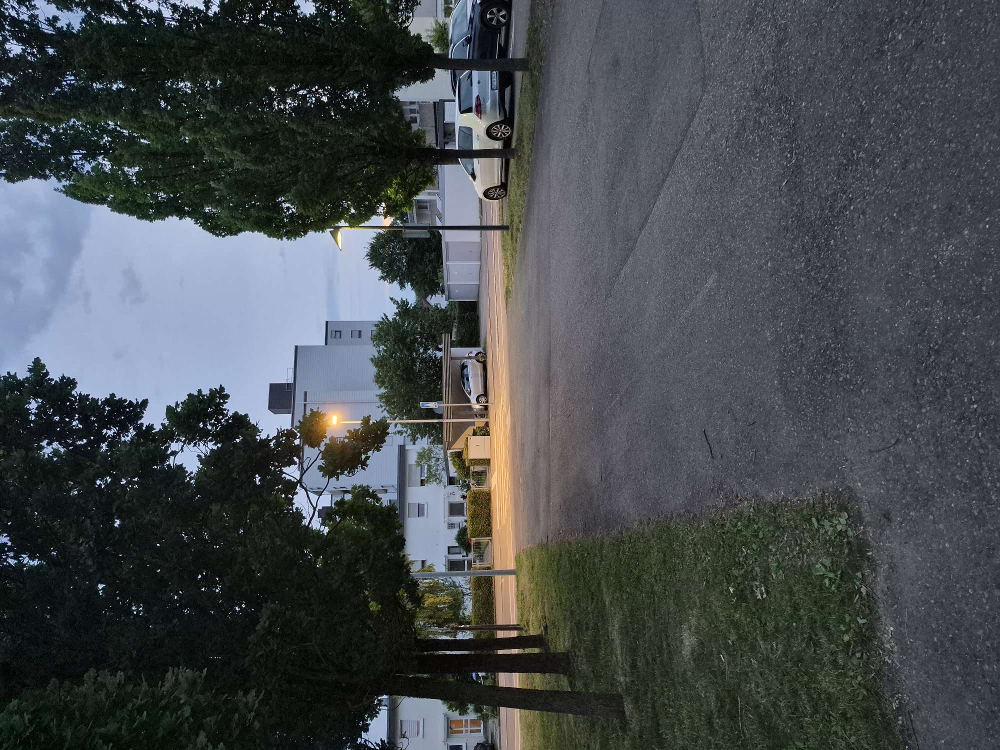 The image depicts a street scene at dusk in a residential area. On the left, several trees with dark green foliage line a grassy area. A paved asphalt road runs through the center of the image, with a pedestrian crosswalk illuminated by streetlights. To the right of the road, more trees stand in front of a row of parked cars. In the background, modern buildings, including a multi-story apartment building with white facades and dark windows, are visible. The sky is overcast with a gradient of light blue and grey.