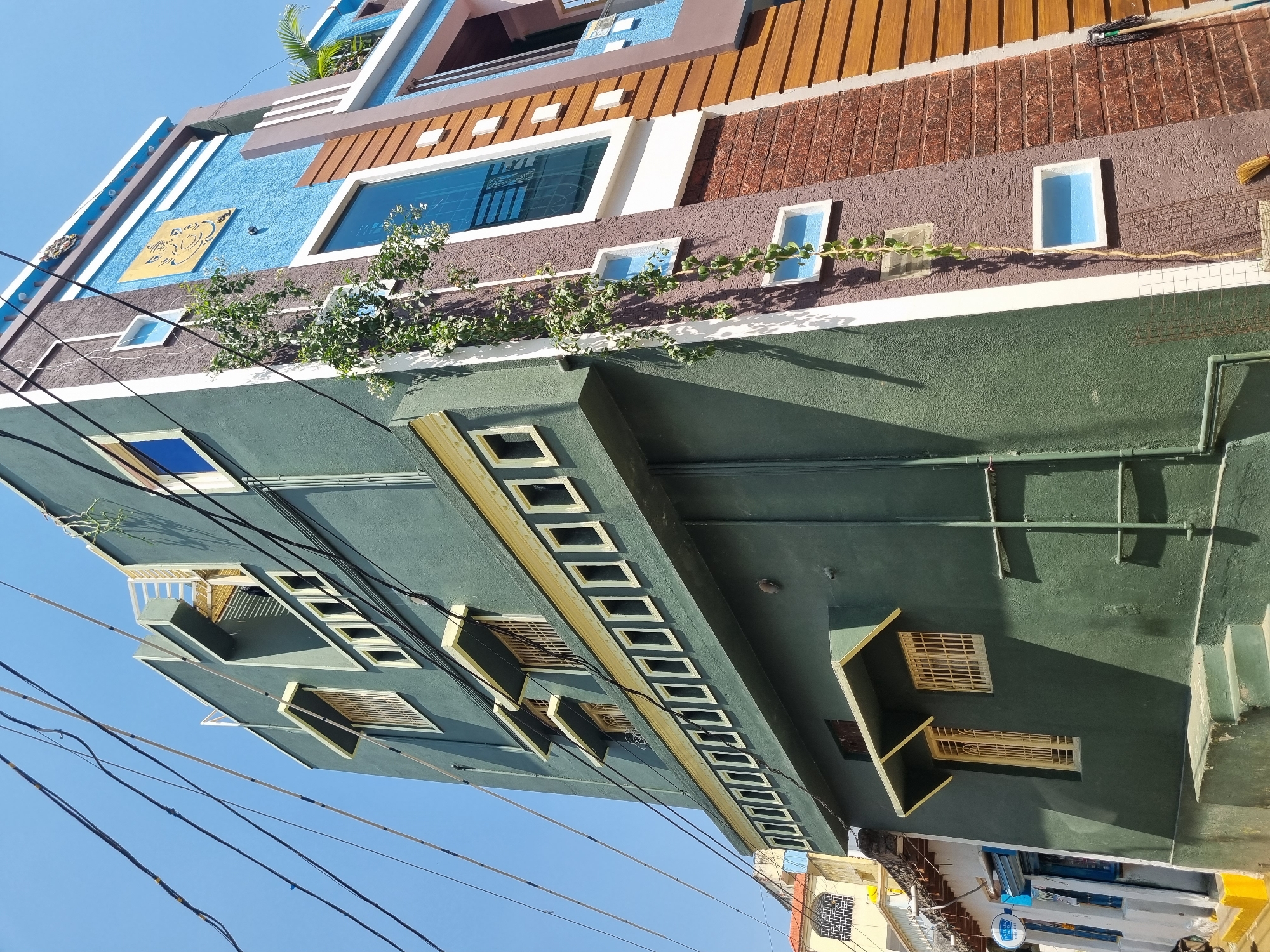 A multi-story residential building, located in Pedda Kammavaripalli, India, is observed from a low-angle perspective under a clear blue sky. The building's facade is variegated; the left section is painted dark green with multiple rectangular windows featuring grilles and an elongated horizontal decorative strip with white rectangular inlays. The right section of the building features a textured brown wall, a prominent light blue section displaying a yellow Ganesha motif, and a section with horizontal brown paneling. A vertical vine with green leaves descends along the textured brown wall, passing small, rectangular blue-tinted windows. Several black utility wires are suspended across the upper portion of the frame. Steps lead up to the dark green section at ground level. Portions of adjacent buildings, including one with a yellow wall and another white building with a blue awning, are visible on the left. No individuals or animals are present.