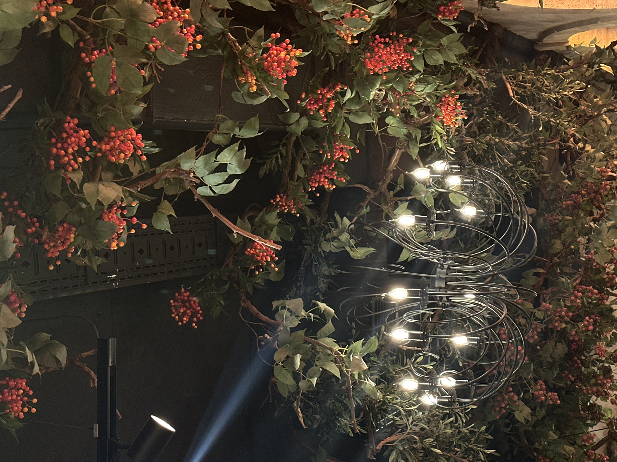 The image depicts an indoor scene with a decorative installation featuring a metal chandelier surrounded by artificial plants, specifically branches with red berries and green leaves. The chandelier consists of two spherical wire cages with multiple light bulbs. A spotlight is visible in the lower-left corner, directed upwards. The backdrop is a dark wall with some patterned elements. The location is not discernible from the image alone.