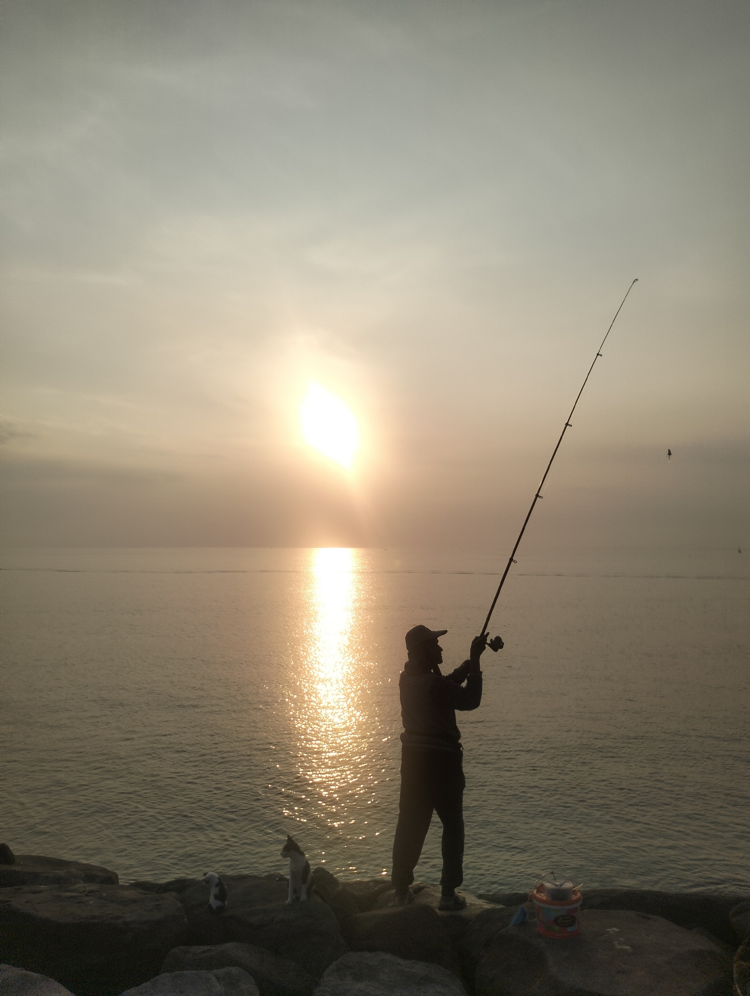 The image shows a person fishing at sunset in Lhokseumawe, Indonesia. The individual is standing on a rocky embankment with a fishing rod, casting into the sea. The sun is setting over the water, creating a strong glare with reflected light on the water. There are two animals (cats) standing on the embankment rocks, with a fishing bucket near the base of the embankment. A solitary bird is silhouetted in the sky.
