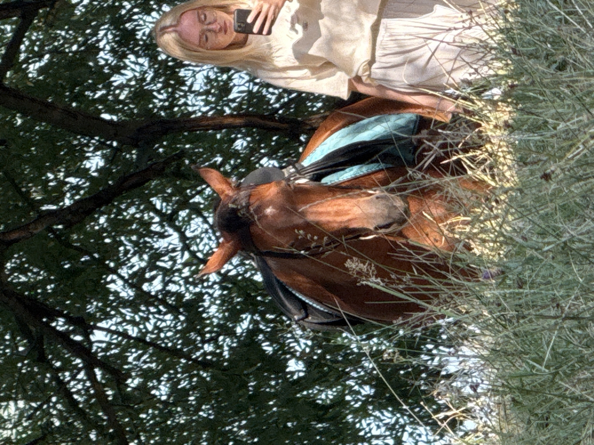 An outdoor, medium shot shows a brown horse in the foreground and a young blonde woman with glasses standing to its right. The horse is facing left, with its head slightly lowered, and appears to be standing in tall grass. A saddle is visible on its back. The woman is holding a smartphone in her right hand and looking at it. She is wearing a light-colored t-shirt and a flowing skirt. The background is filled with green foliage from trees, suggesting a natural, possibly rural or park setting. The lighting indicates it is daytime, with sunlight filtering through the leaves. The location is specified as Zaprudnoe, Ukraine.