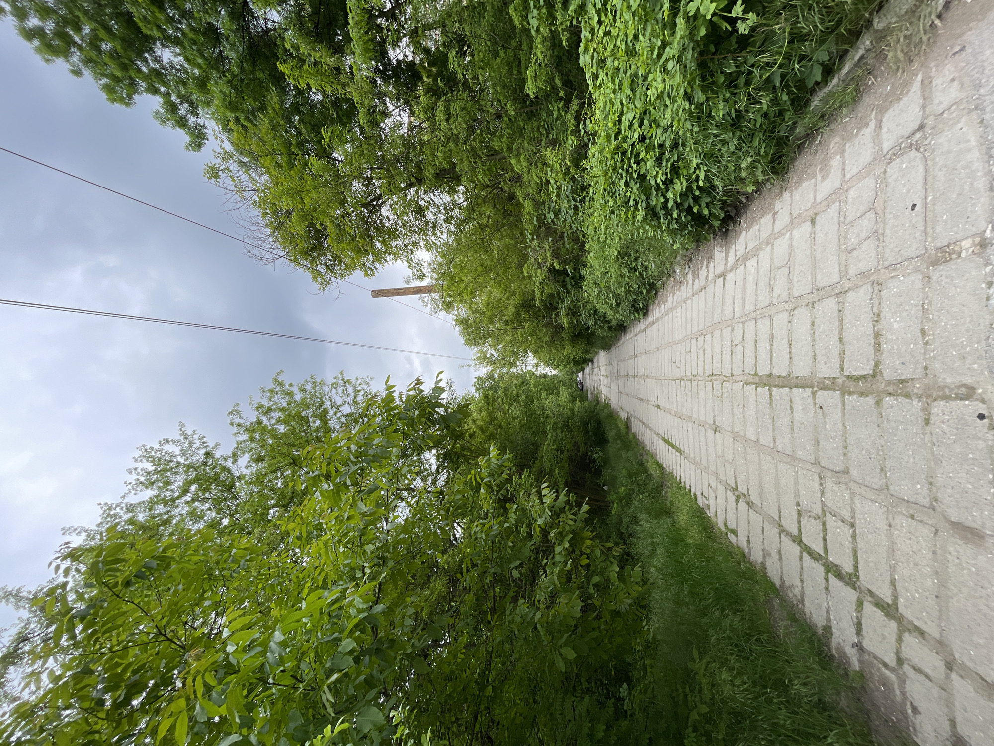The image shows a pathway constructed of rectangular concrete blocks in Plovdiv, Bulgaria. The pathway stretches into the distance, flanked by greenery on either side. On the left and right sides of the path, there are various types of foliage, including bushes, grass, and trees. Overhead, the tree canopy partially obscures the sky, which is overcast. A utility pole is visible, with power lines stretching into the distance. The pathway appears to be lightly used.