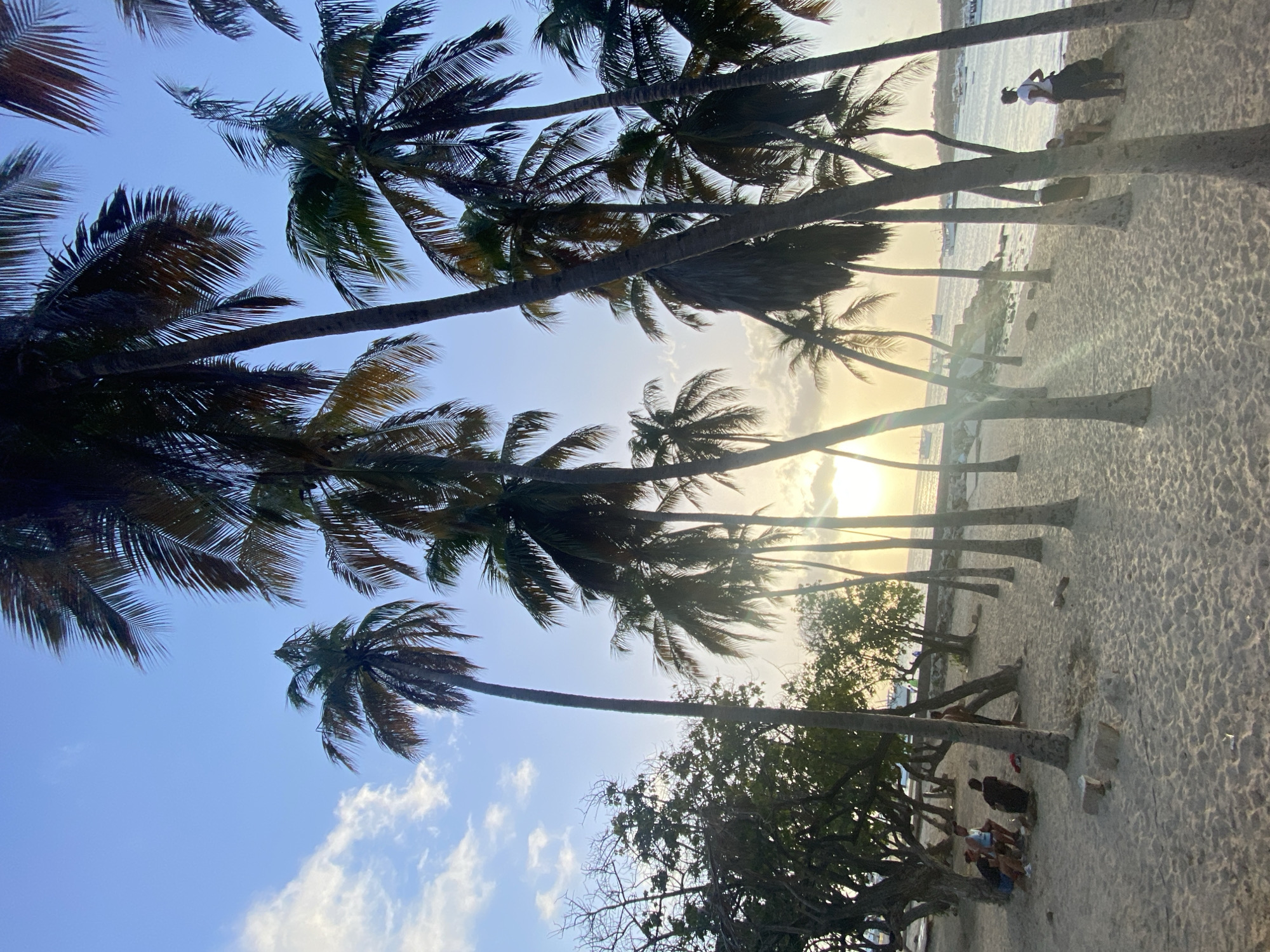 The image shows a beach scene in Juan Griego, Venezuela. Several palm trees line the beach, silhouetted against the setting sun. In the foreground, people are sitting beneath the trees. Further down the beach, figures are walking near the water's edge. The sky is a mix of blue and pale yellow from the sunset. The beach is sandy, with visible footprints.