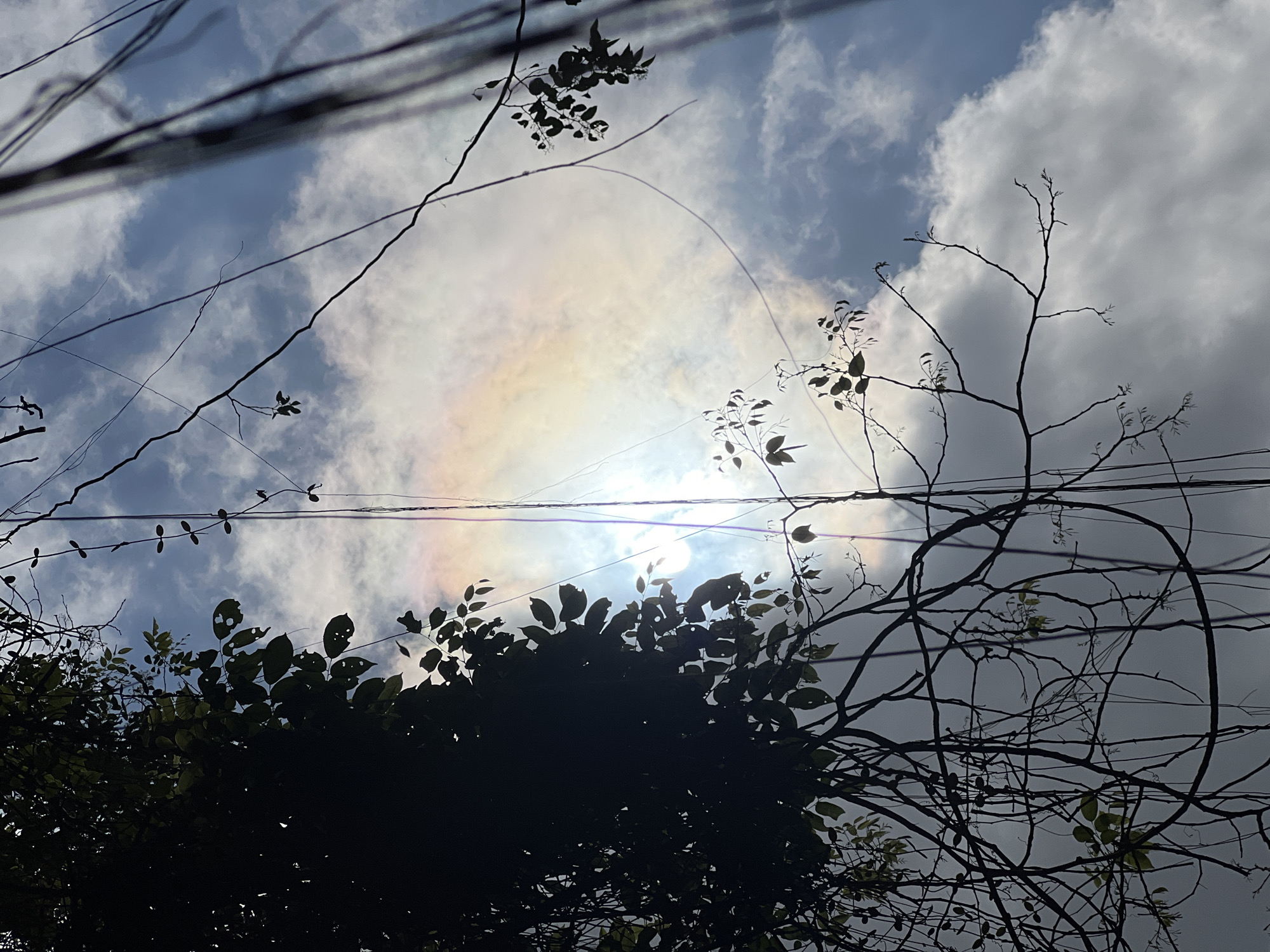 The image, taken in Tampaksiring, Indonesia, captures a view looking upwards through dense foliage and hanging vines towards a partially obscured sun. The sun is a bright, blown-out sphere, surrounded by a soft halo and a faint, arc-shaped rainbow-like atmospheric optical phenomenon, possibly a circumzenithal arc or a sundog, formed by ice crystals in the atmosphere. The sky is a mixture of blue sky and white, wispy clouds. Silhouetted against the sky are the dark shapes of leaves, branches, and hanging vines, creating a natural frame for the celestial display. Wires, possibly electrical or telephone lines, also cut through the upper right portion of the frame, adding a man-made element to the scene. The overall impression is one of nature's ephemeral beauty juxtaposed with the mundane presence of infrastructure.