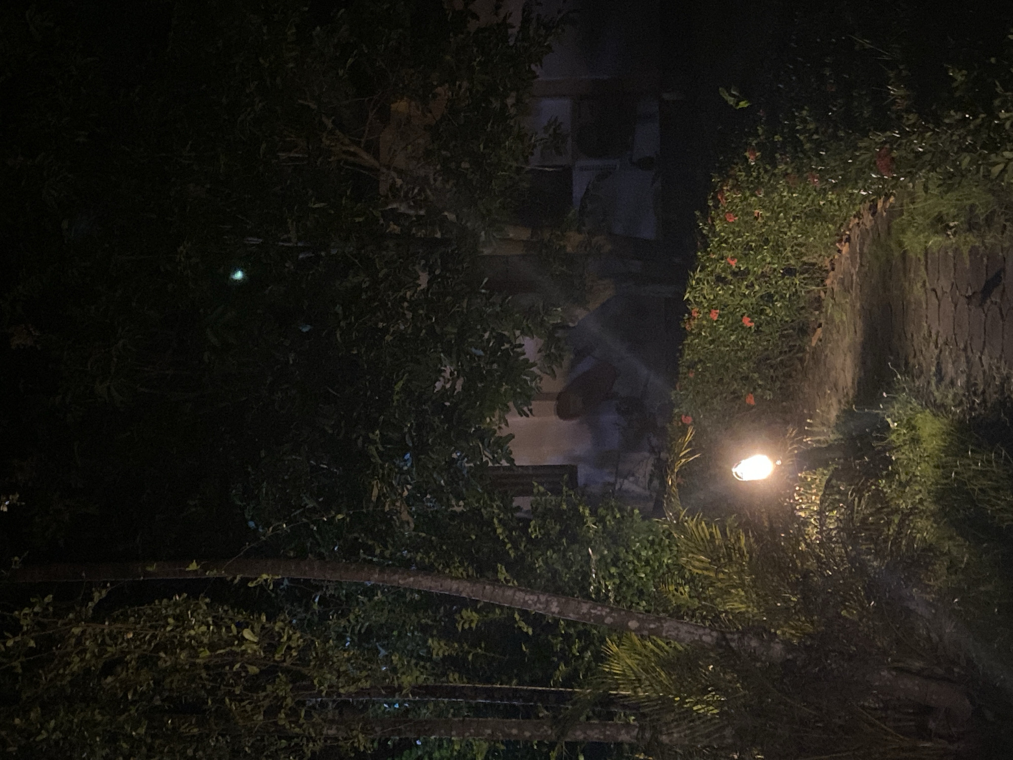 In Baan Mae Nam, Thailand, a dimly lit outdoor scene unfolds. A paved walkway, constructed from interlocking bricks, is visible in the foreground, illuminated by a single, low-lying lamp. This lamp casts a warm glow on the surrounding vegetation, which includes lush green plants and a border of red flowers. To the left, palm fronds are prominent, and further back, several trees with dark foliage dominate the landscape. Behind the trees, the facade of a building is partially visible, appearing light-colored and weathered. The overall impression is one of a tranquil nighttime setting within a tropical environment. No individuals are present in the image.