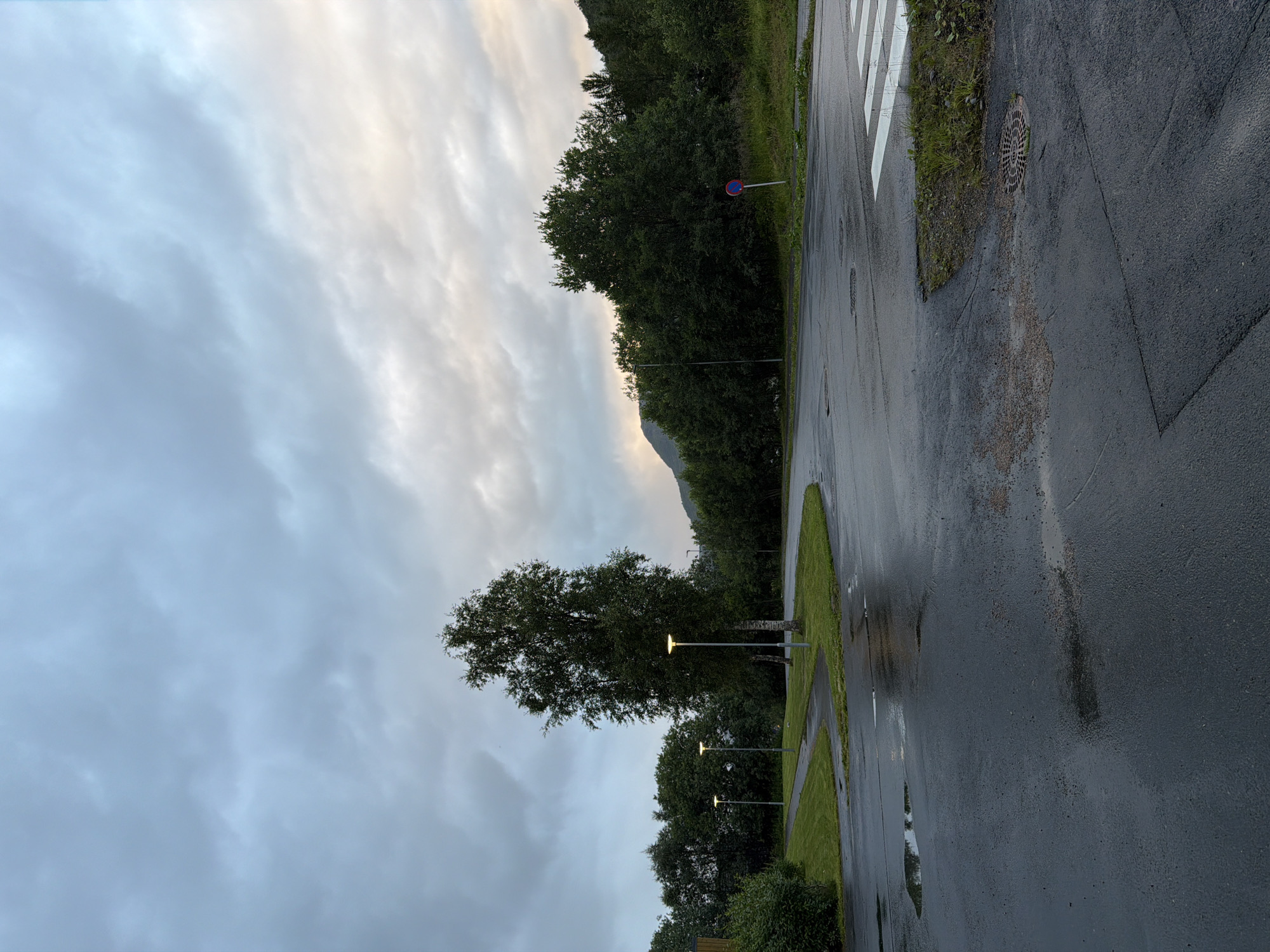 The image depicts a view of a wet asphalt road and a grassy area with trees under a cloudy sky. The scene appears to be in a public space with lampposts along a curved path and a crosswalk marked on the road. A red and blue circular traffic sign is visible on the right side of the image. The overall atmosphere is somber, suggesting overcast weather conditions. The location is identified as Harstad, Norway.