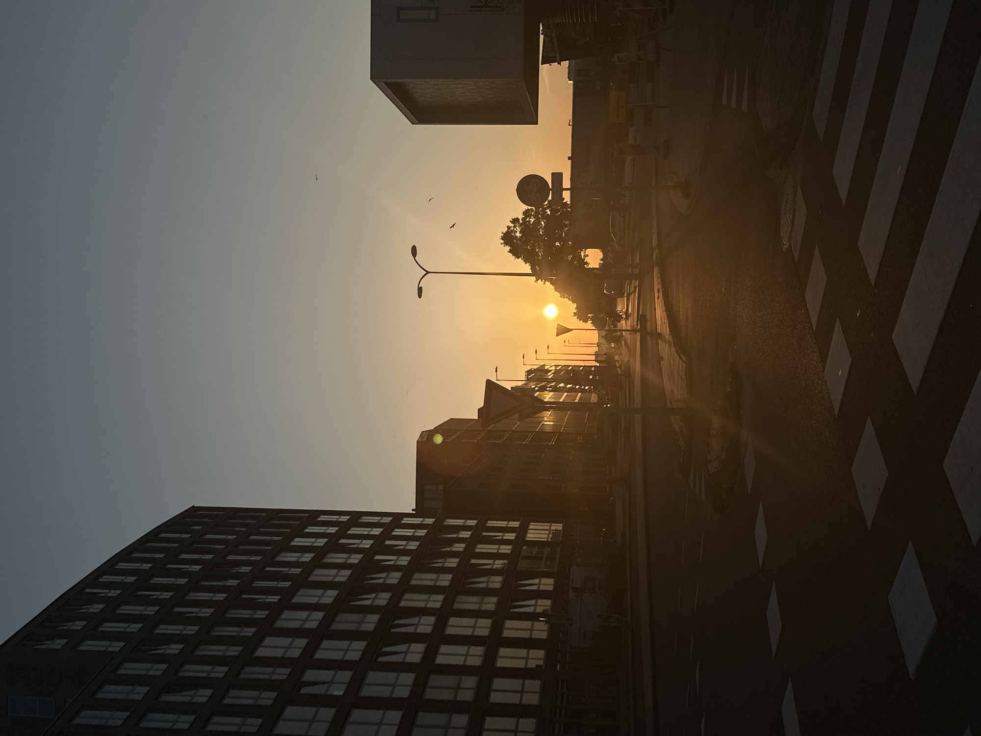 This image captures a street scene in Amsterdam, Netherlands, during sunset. The setting sun casts a warm, orange glow across the sky and illuminates the facades of modern buildings lining the street. In the foreground, a crosswalk with white stripes is visible on the asphalt road.
To the left, a tall, dark building with numerous rectangular windows dominates the frame, its sheer scale contrasting with the softer light of the sunset. Across the street, other buildings, some appearing residential or office spaces, are visible, with their windows reflecting the golden light. A prominent street lamp with a modern design stands to the right of the frame, its silhouette sharp against the sky.
A tree with dense foliage is positioned between the road and a modern cubic building on the right. Several road signs are present, including one with a bicycle icon. The sky is a gradient of pale blue and orange, with two small birds in flight visible near the top. The overall atmosphere is calm and serene, depicting the end of the day in an urban environment. There are no discernible people in the image.