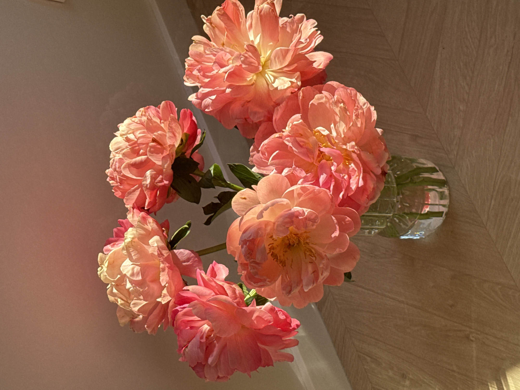 The image shows a vase filled with several pink peonies. The flowers are in full bloom and appear to be illuminated by sunlight. The vase is transparent and appears to be made of glass. The background consists of a wall and a wooden surface, likely a table or floor. The scene suggests an indoor setting. There is no information in the image that suggests this is located in Izhevsk, Russia.