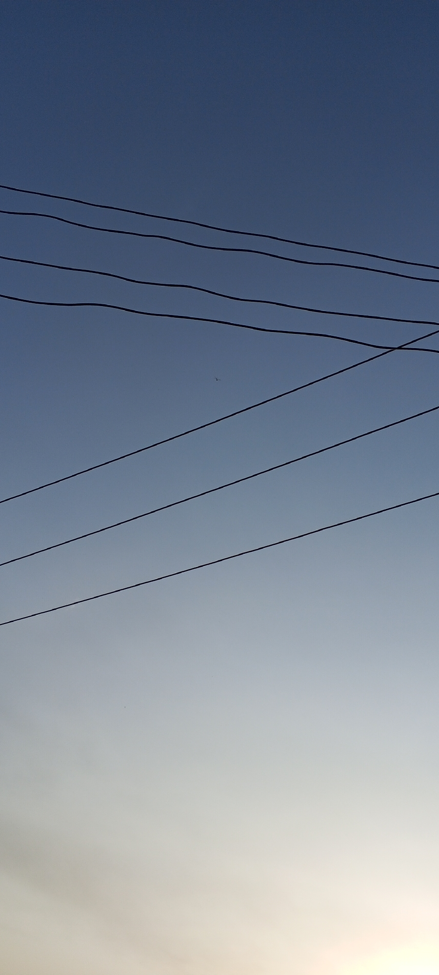 The image captures a serene sky over Jalingo, Nigeria, transitioning from a deep blue at the top to a lighter hue near the horizon. Several power lines stretch horizontally across the frame, some appearing slightly curved. A tiny, dark speck, likely a bird or a distant aircraft, is visible in the upper half of the image. The scene is devoid of any visible people or structures, suggesting an open sky view, possibly from a rooftop or a wide-open space within the city. The lighting indicates it is either early morning or late afternoon, given the gentle gradient of colors in the sky.