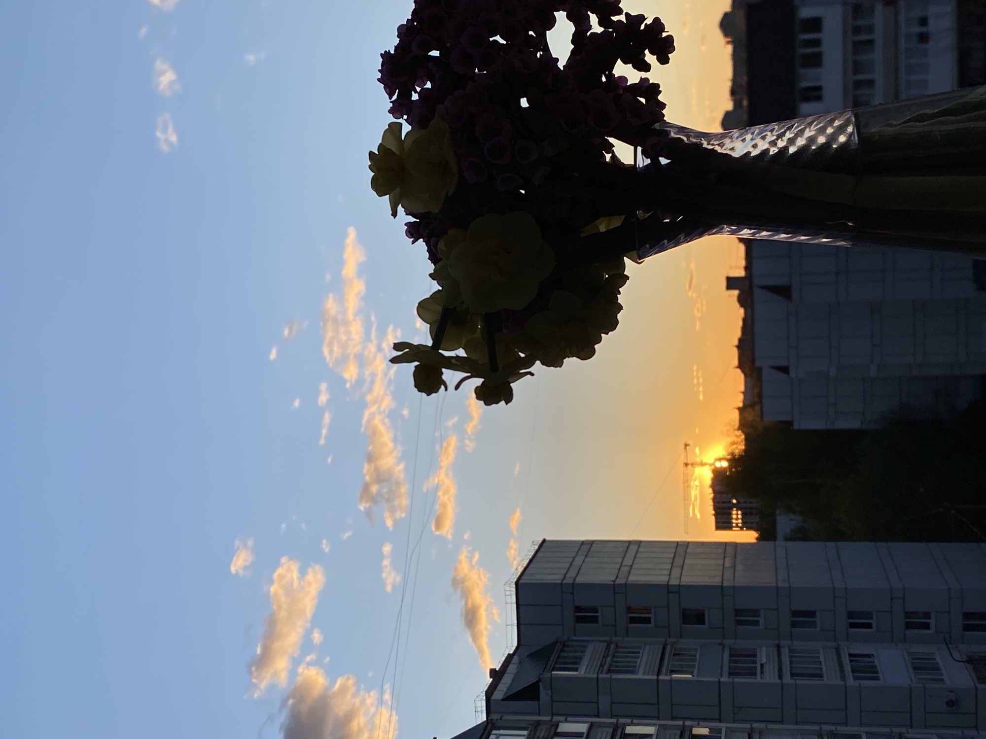 The image captures a sunset view from a high-rise building in what is presumed to be the city of Chaikovsky, Russia. The sky is a gradient of blue to orange, indicating the setting sun. Fluffy clouds are scattered across the sky, illuminated with a golden hue.
In the foreground, a vase filled with flowers is partially silhouetted against the bright sky. The flowers appear to be a mix of yellow and purple varieties.
In the background, several buildings are visible, defining the urban landscape. A construction crane can be seen near the setting sun, suggesting ongoing development in the area.