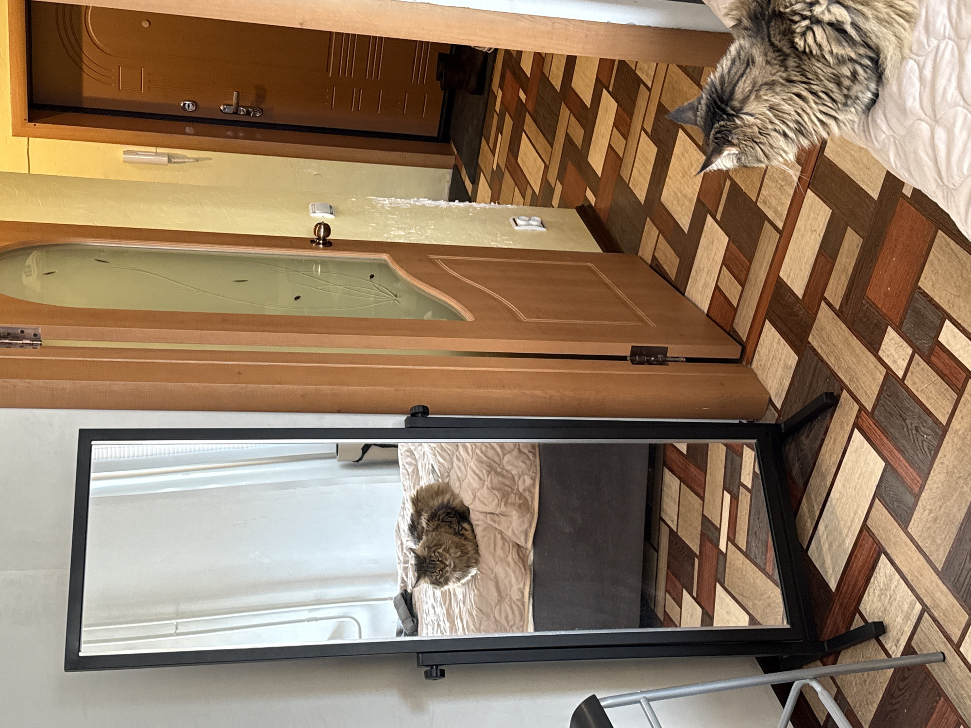 A wide-angle, eye-level shot shows an interior view of a room, possibly in Izhevsk, Russia, given the presence of a Russian-style door. The primary focus is a large, rectangular standing mirror with a black frame, which appears to be positioned against a white wall. The mirror reflects a portion of a bed with a cat lying on it. The actual cat, presumably the same one reflected in the mirror, is seen lying on the bed in the upper-right corner of the frame. The bed is covered in white bedding.
The floor is covered with a patterned tile, alternating between light and dark shades of brown. In the background, a slightly ajar door is visible, opening into what appears to be a hallway. This door has a unique, curvilinear design at the top. Above the door is a section of wall painted in a light yellow color. A light fixture is mounted near the top of the wall. The setting looks like a residence.