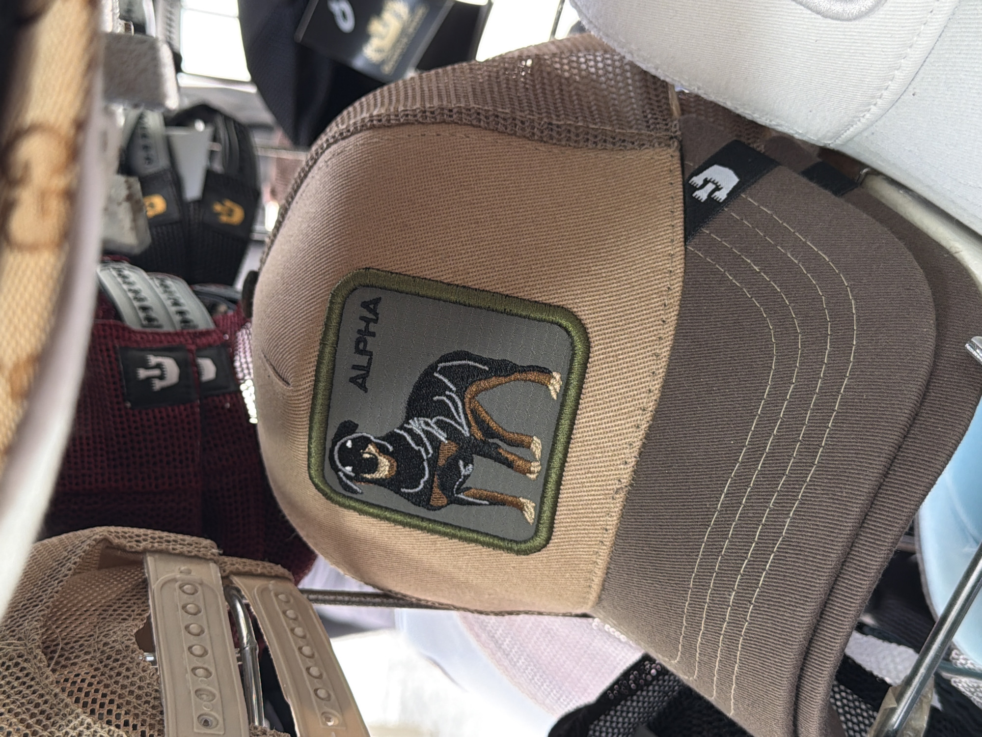 The image shows a close-up of several baseball caps hanging on a display rack, likely inside a store. The focus is on a tan and brown cap featuring a patch with a dog illustration and the word "ALPHA" embroidered on it. Other caps are visible in the background, including red and beige ones, some with different logos or designs. The caps appear to be mesh-backed and adjustable. Based on the available information, I cannot provide an accurate description of the city Budva, Montenegro in relation to the image.