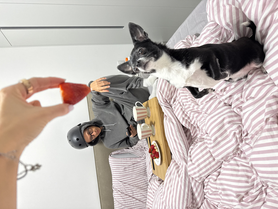 This image depicts an indoor bedroom scene in Tel-Aviv, Israel.
In the foreground, a female's right hand extends into the frame from the upper left, holding a half-strawberry between the thumb and index finger. A ring is visible on her ring finger and a bracelet on her wrist. Directly below the strawberry, a small, short-haired dog, black with white markings on its chest and snout, is standing on its hind legs on the bed, looking upwards towards the strawberry with focused attention.
In the mid-ground, a male subject is seated on the bed, leaning against a light-colored headboard. He wears a dark grey hooded sweatshirt with the hood down, matching sweatpants, white socks, and a dark grey bicycle helmet. He wears eyeglasses and is looking down at a dark-colored smartphone held in his left hand. His right hand rests on his right knee.
The bed is covered with crumpled pink and white striped bedding. To the left of the male subject, a wooden bed tray rests on the bedding. On the tray, there are two white mugs with pink stripes on pedestal bases, a small white plate containing several strawberries and small white meringues or candies, and a small knife with a dark handle. The background consists of a plain white wall, with a white, floor-to-ceiling cabinet or closet visible on the far right.