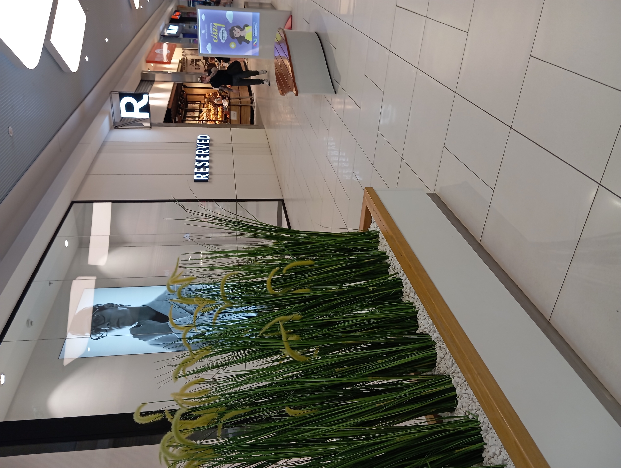 The image depicts an indoor scene within a shopping mall. A person is walking in the background, and various shop signs are visible, including a prominent "R" logo and the word "RESERVED" in illuminated letters. Artificial greenery with yellow accents is placed in the foreground, contained within a planter. A large digital display showing a person's portrait is also visible. The setting appears to be a modern, well-lit shopping environment. The time of day is not discernible, and there are no indications of weather. The scene suggests a typical day at a retail establishment in Wołomin, Poland.