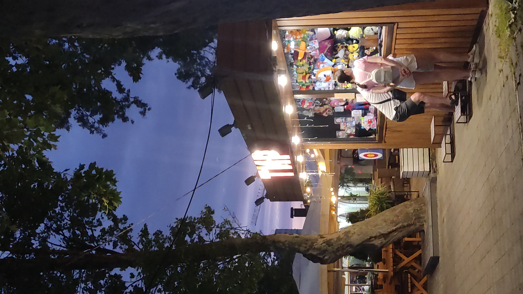 The image depicts an outdoor amusement area at dusk, likely in Krasnodar, Russia. A wooden booth with a lit sign that appears to read "ТИР" (which translates to "shooting range" or "barracks") is a central feature. The booth displays an assortment of prizes, primarily plush toys, visible through a glass window. Two individuals, a man and a woman, are standing in front of the booth, looking at the prizes. The man, wearing a white t-shirt and dark shorts, is leaning forward. The woman, in a pink t-shirt and white shorts, is facing away from the camera. They are standing on small wooden platforms, possibly to reach the counter.
To the left of the booth, a large tree with dark green leaves partially obstructs the view. Beyond the tree, there are outdoor seating areas with tables and chairs, suggesting a cafe or restaurant. In the background, a target with a red bullseye is visible, further reinforcing the "shooting range" theme. The sky is a deep twilight blue with some visible clouds, and several string lights are illuminated around the booth. Power lines are also visible crisscrossing the upper part of the image. The ground is paved with grey cobblestones. The overall impression is a lively, entertainment-focused setting as evening approaches.