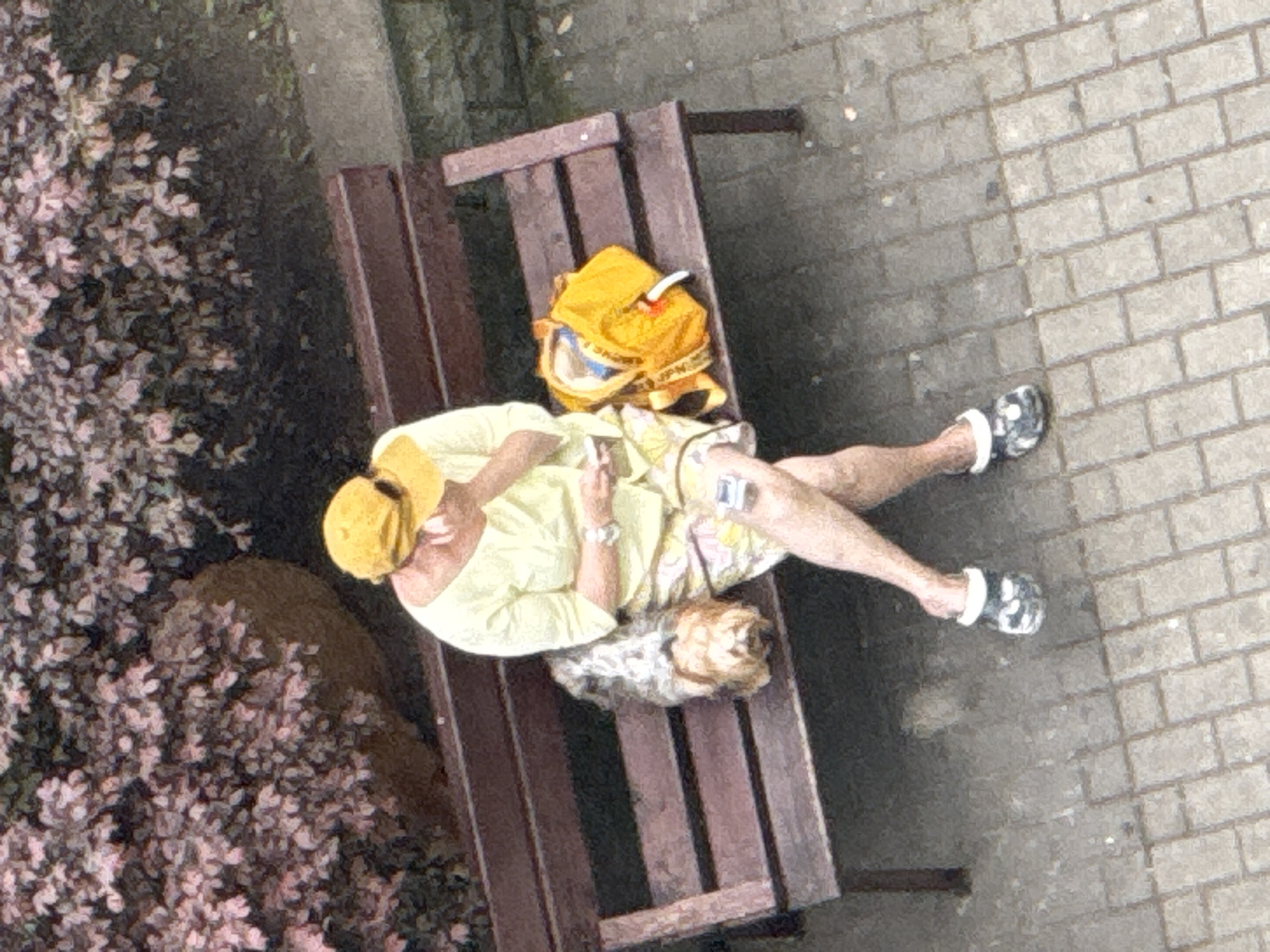 The image depicts a person sitting on a wooden bench outdoors, with a small dog resting beside them. The person is wearing a yellow cap, a light-colored long-sleeved shirt, and patterned shorts. They are holding a mobile phone in their hands. A bright yellow backpack is placed on the bench next to them. The dog appears to be a small breed with light brown and gray fur. The bench is situated on a paved area, with a background of dense foliage and a stone wall. The scene is shot from an elevated, aerial perspective. The image quality is low, with visible pixelation, and the colors are somewhat muted. The context of Sochi, Russia, is not explicitly evident from the visual information present in the image itself.