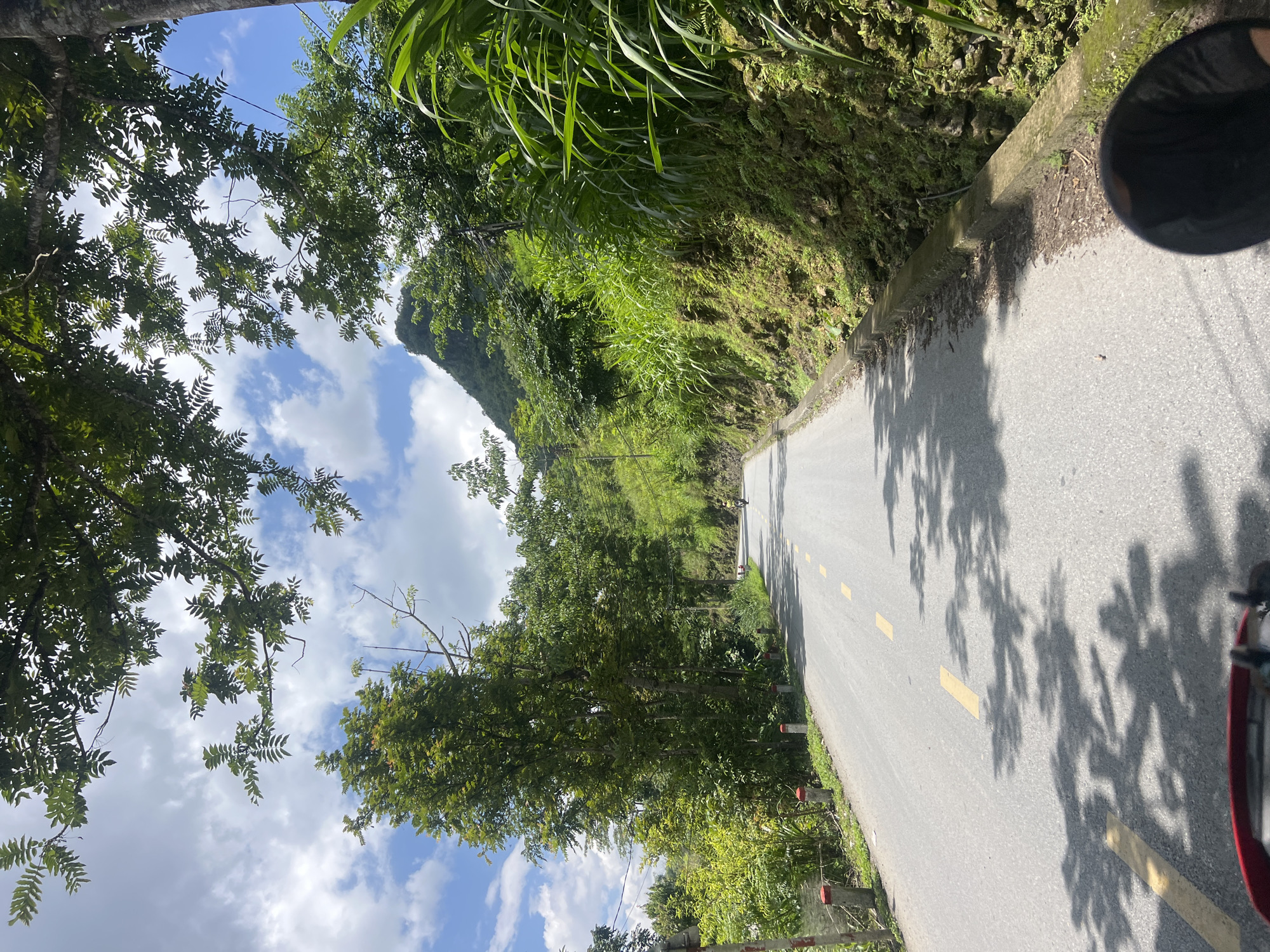 The image depicts a road winding through a lush, mountainous landscape in Lùng Tám Commune, Vietnam. The road surface is asphalt, marked with intermittent yellow lines, and bordered by a concrete curb on the right. The right side of the road rises steeply, covered in dense green vegetation, moss, and rocks. Tall trees with leafy branches canopy the scene, casting dappled shadows on the road. On the left side of the road, there are more trees and some red and white posts. In the distance, a lone individual on a yellow motorcycle is visible on the road, heading away from the viewer. The sky above is blue with scattered white clouds. The overall impression is one of a scenic, natural environment with a road cutting through it.