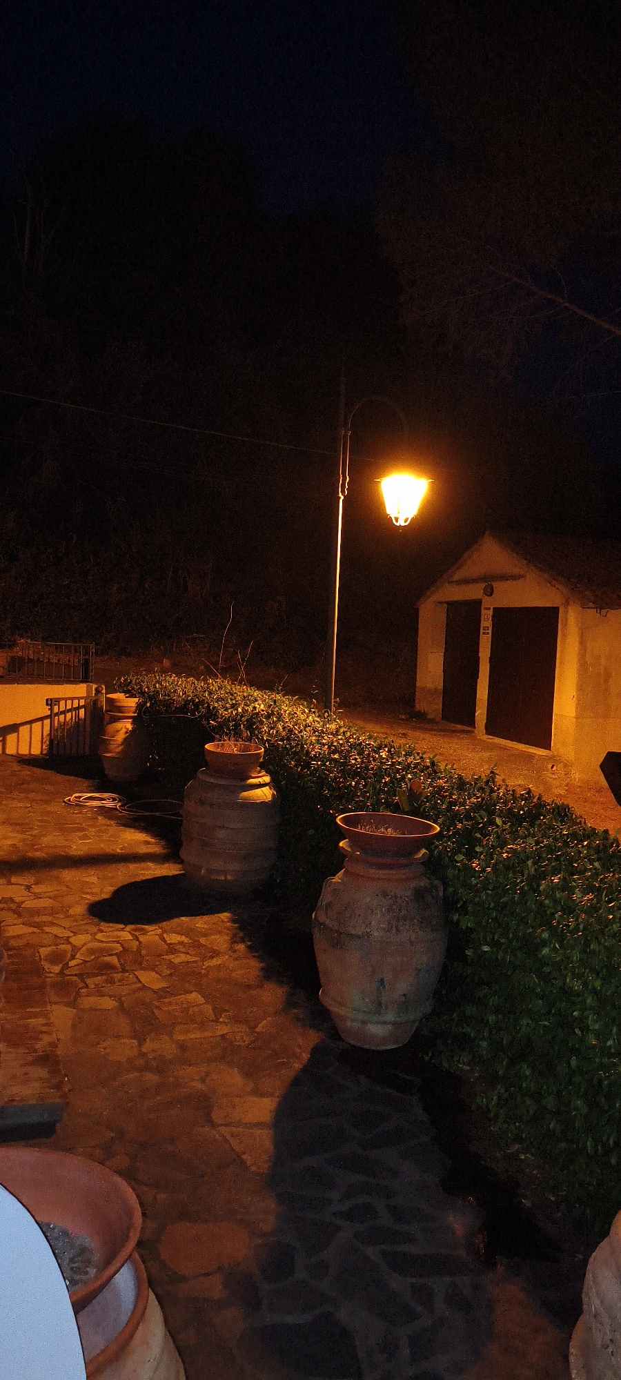 The image depicts an outdoor scene at night, illuminated by a single street lamp casting a warm, yellow glow. The street lamp, with a decorative curved arm, is positioned to the right of the frame, its light highlighting a small, light-colored building with two dark doors. In the foreground, a paved walkway made of irregular stone slabs is visible, with a row of large, terracotta planters lining a dense green hedge. The planters are of various sizes, with some appearing to be empty and others containing small plants or soil. To the far left, partially visible, are more terracotta pots, one of which is a bright orange color. A metal railing is also visible on the far left, suggesting a pathway or elevated area. The background consists of dark, silhouetted trees and foliage. The overall impression is one of an outdoor area in a rural or semi-rural setting, possibly a garden or courtyard, with a utilitarian building nearby. The location is identified as Campagnatico, Italy.